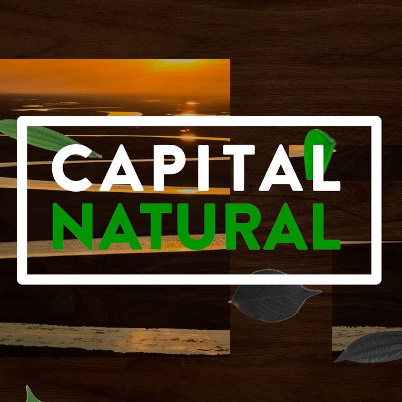 Capital Natural - Desigualdade e desenvolvimento sustentável | Parte 1