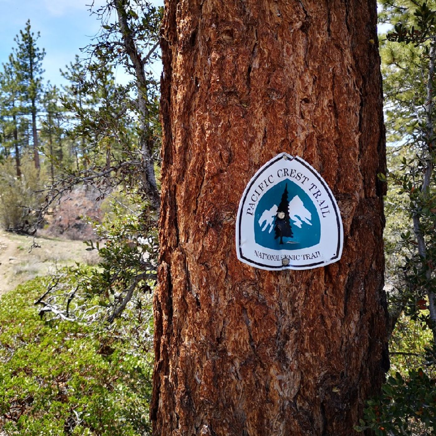 Episode 64 - Big Bear Lake episode artwork