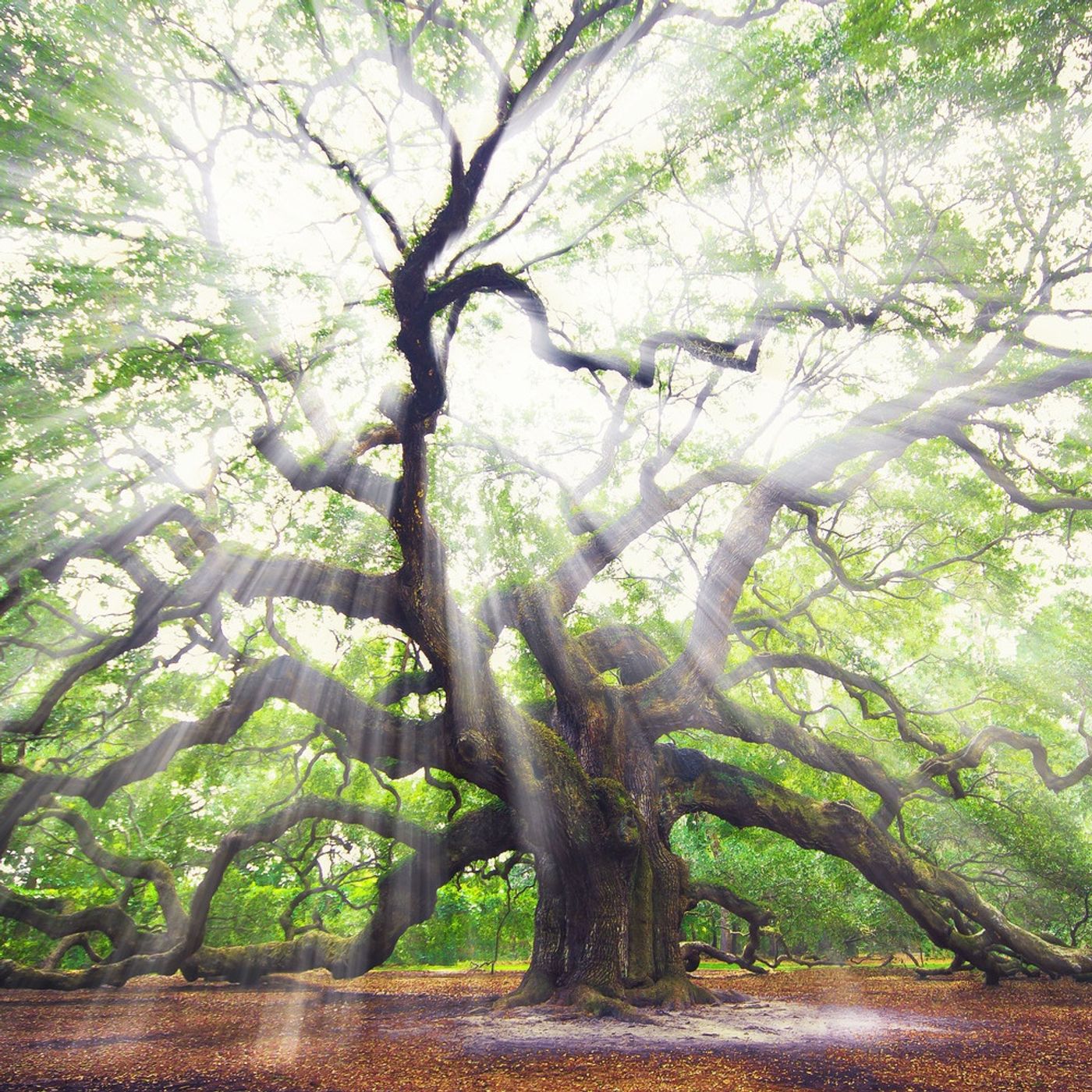 jpeg2RAW Photography Podcast