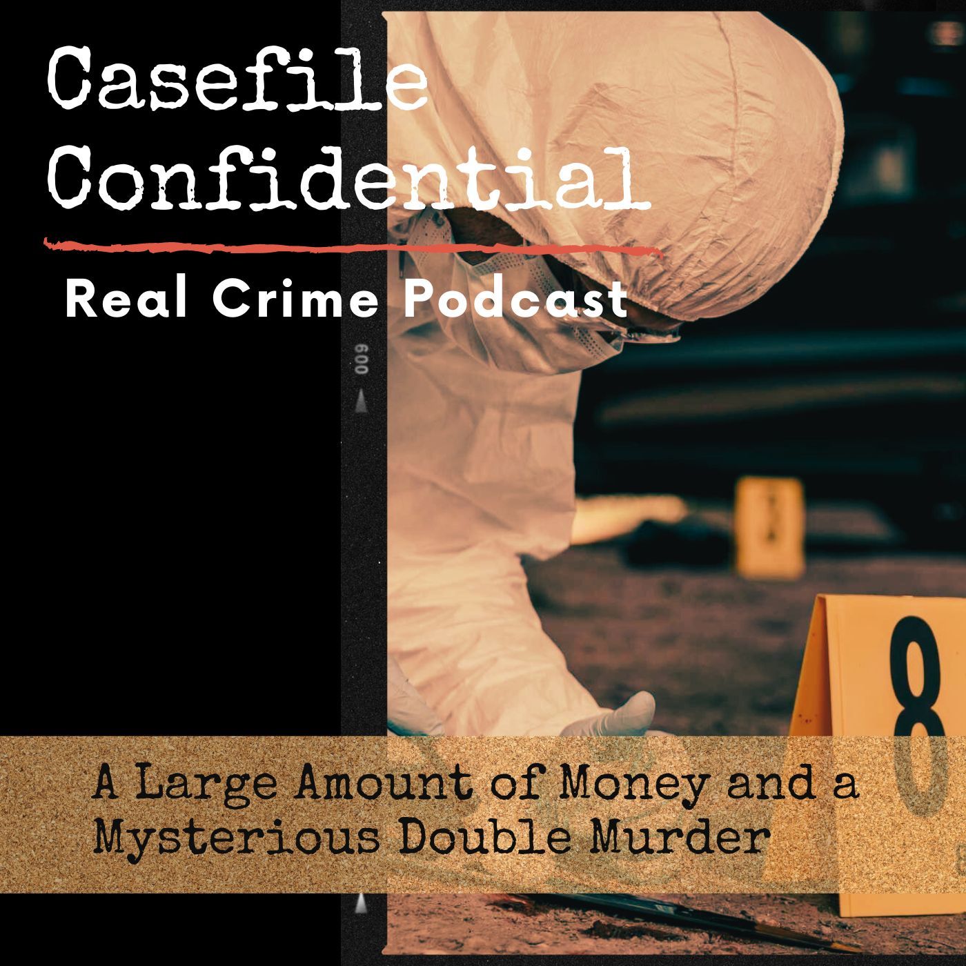 A Large Amount of Money and a Mysterious Double Murder