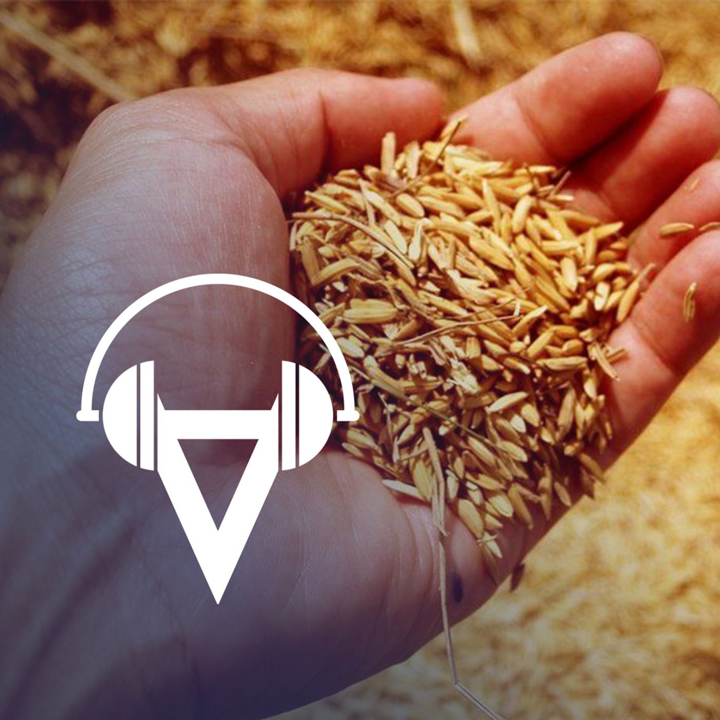 Löst der Irankrieg eine weltweite Lebensmittel-Knappheit aus?