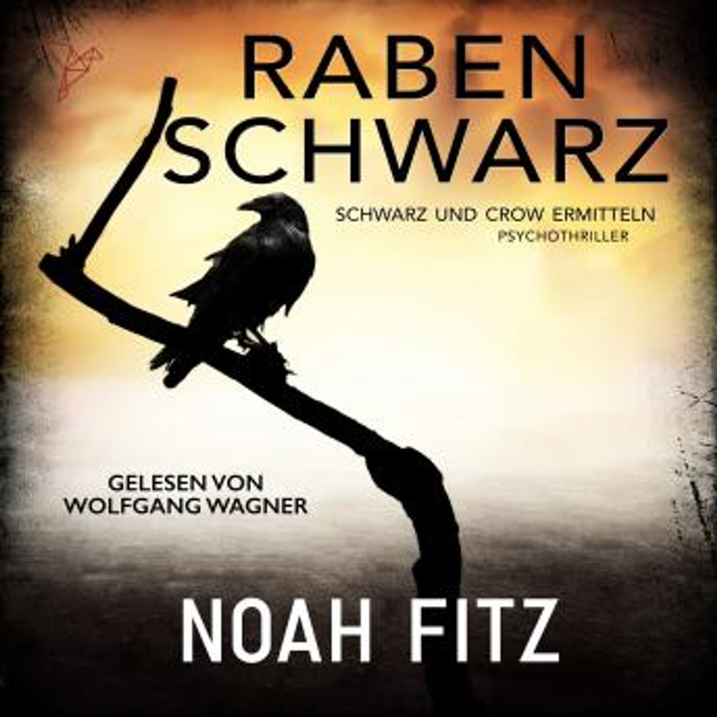 [German] - Rabenschwarz - Schwarz und Crow ermitteln, Buch 1 (Ungekürzt) by Noah Fitz episode artwork