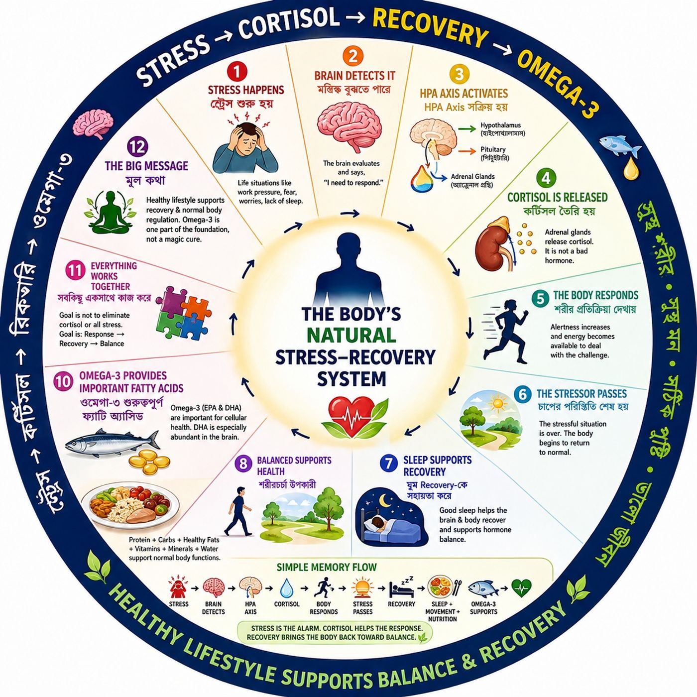 EP-304|Stress ,Omega3 & Recovery: The Hidden Journey Inside Your Body |স্ট্রেস থেকে রিকভারি: শরীরের ভেতরের অদৃশ্য যাত্রা episode artwork