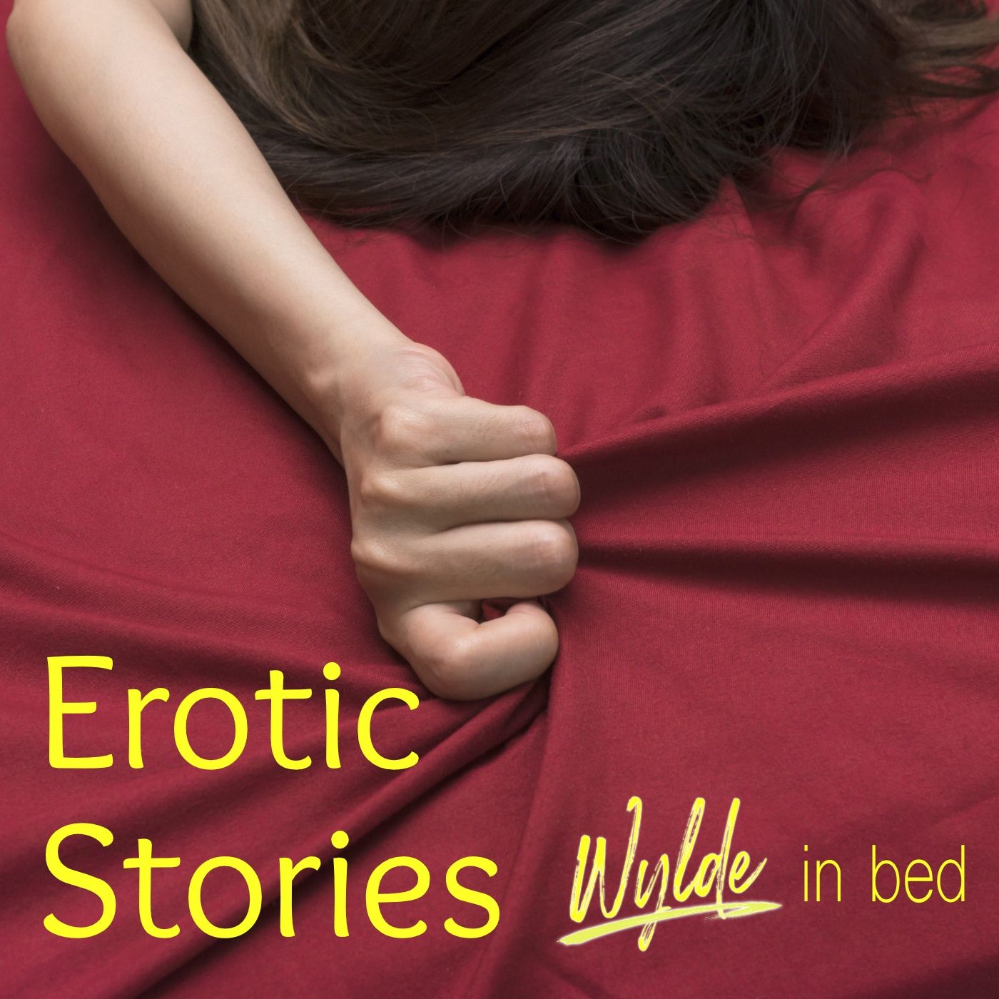 Book Bind: A strangers to Lovers Erotic Fantasy between the sheets