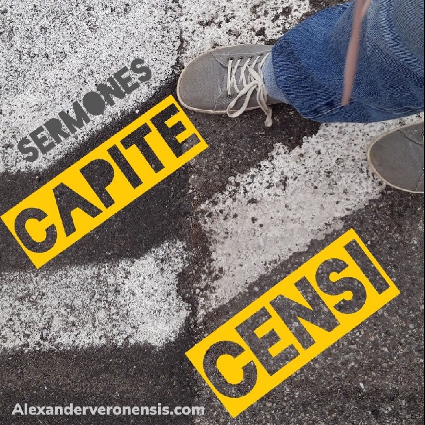 Sermones Raedarii