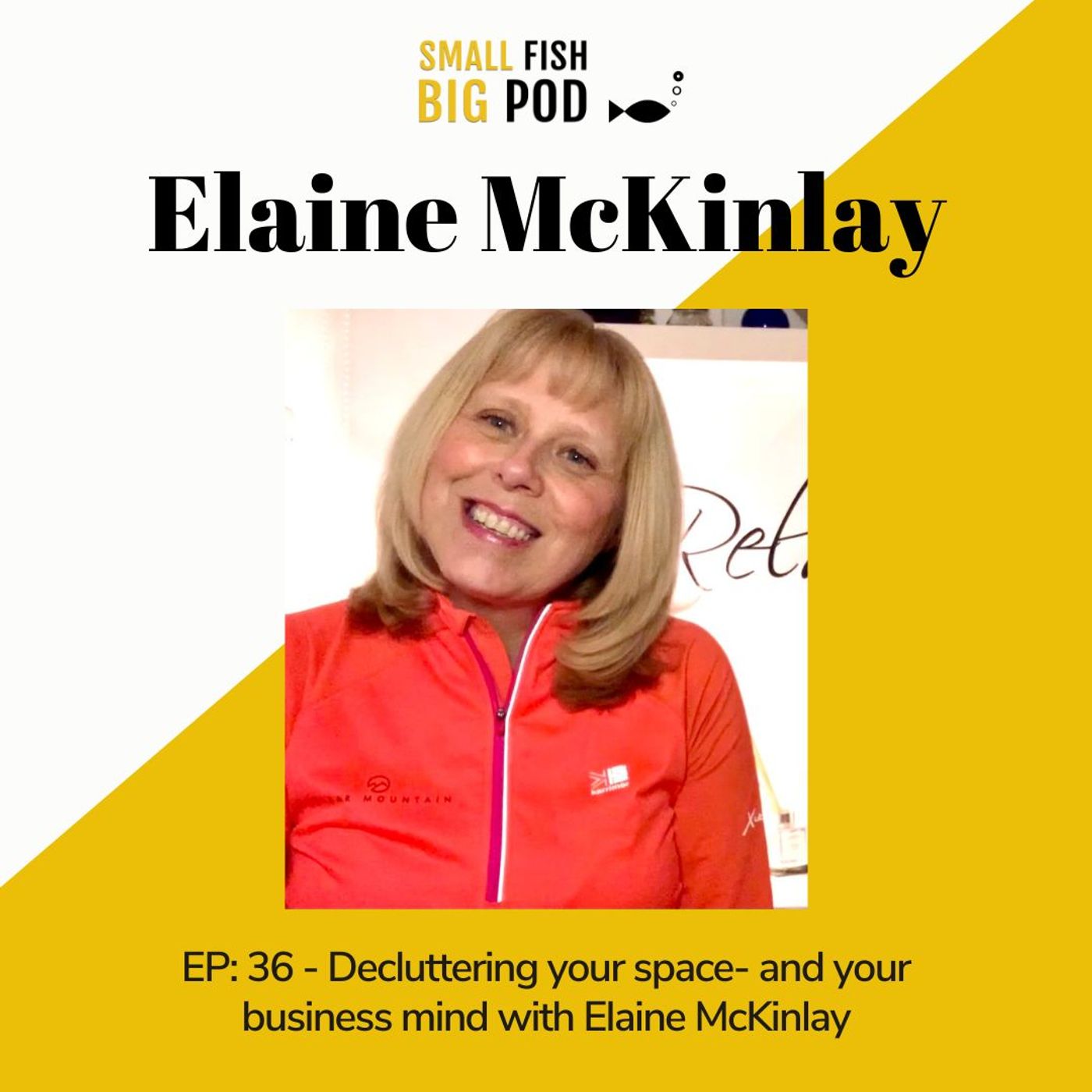 EP36: Decluttering your space- and your business mind- with Elaine McKinlay