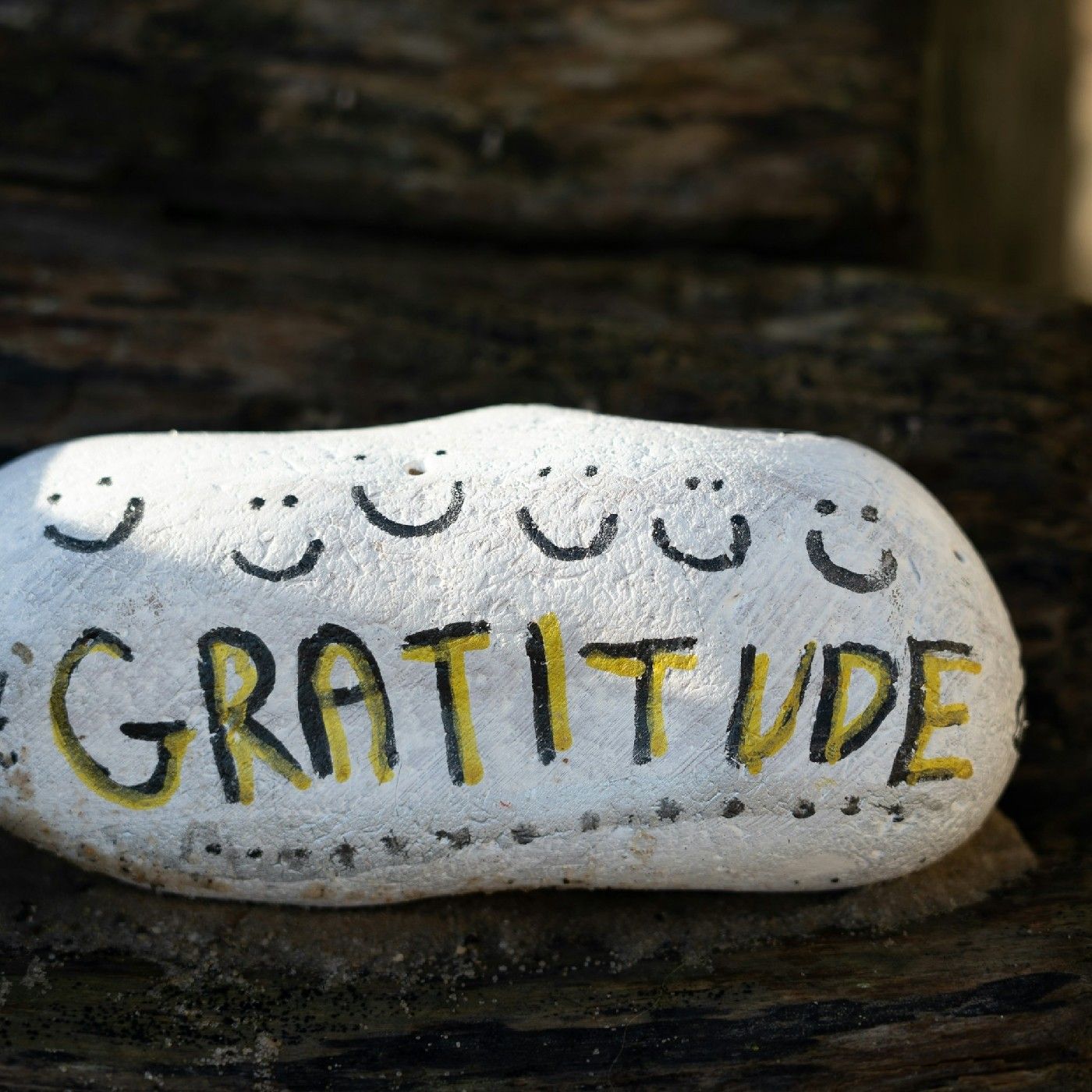Daily Encouragement thru gratitude episode artwork