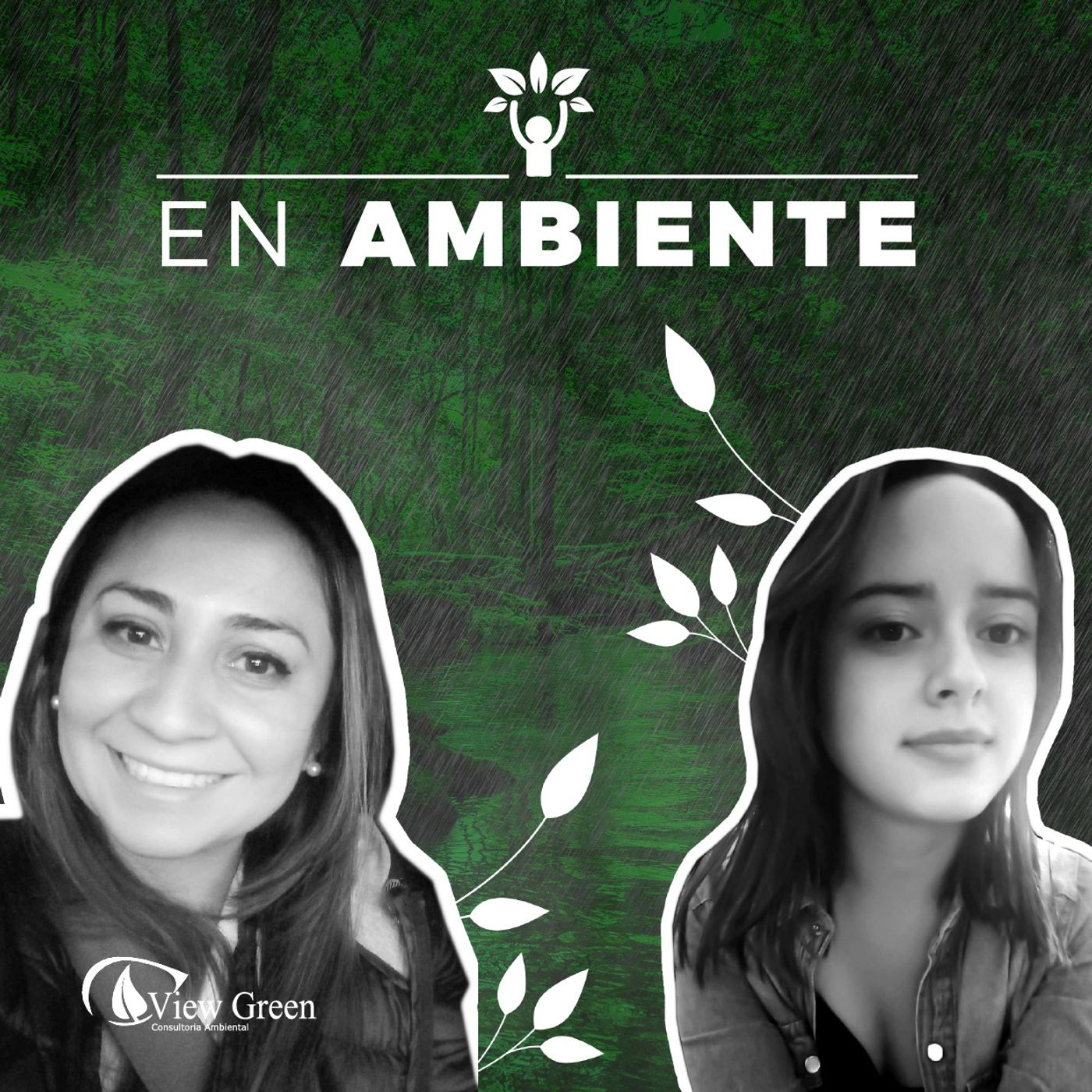 En Ambiente