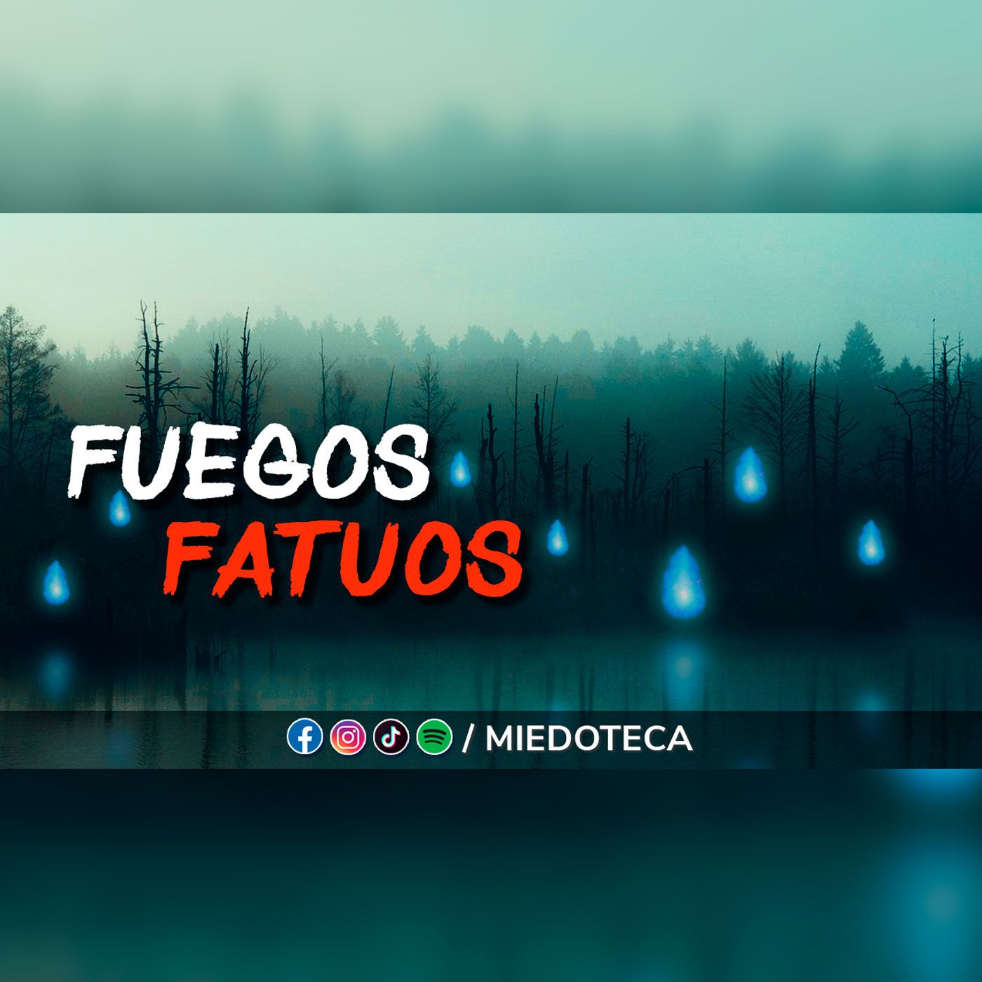 Miedoteca