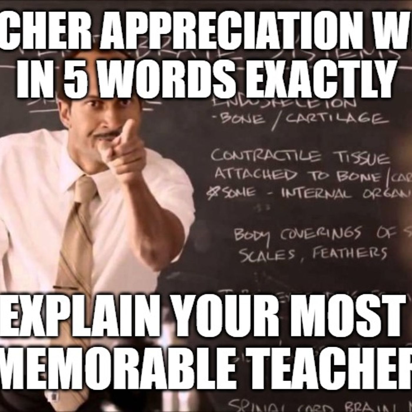 Dumb Ass Question: In 5 Words Tell Us About a Memorable Teacher episode artwork