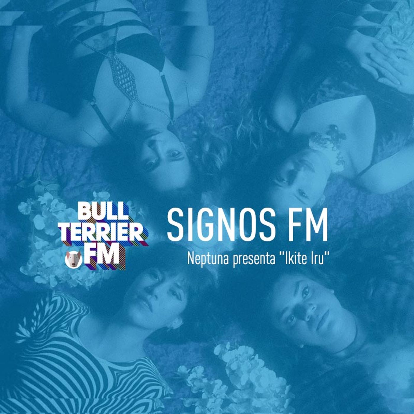 Archivo SignosFM