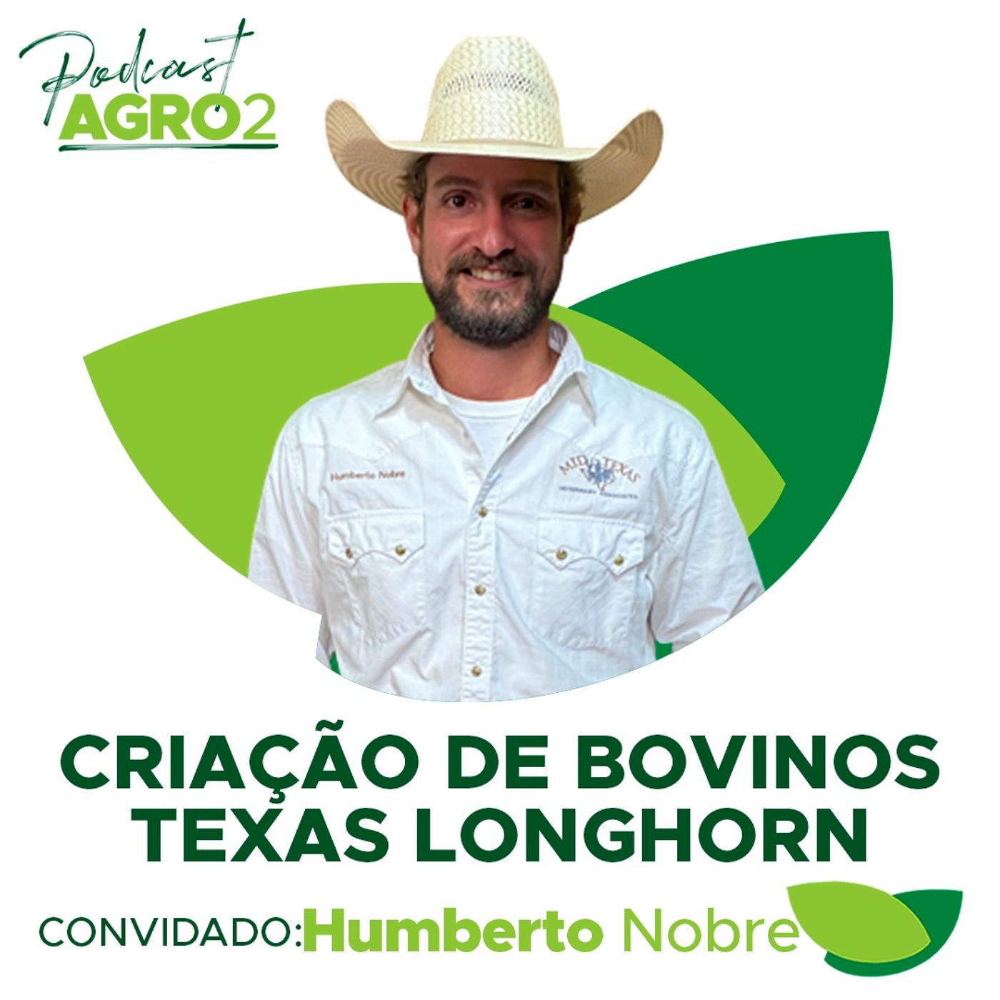 Bovinos Texas LongHorn: aptidão dos longos chifres para exposição e até corte de carne premium #215 episode artwork