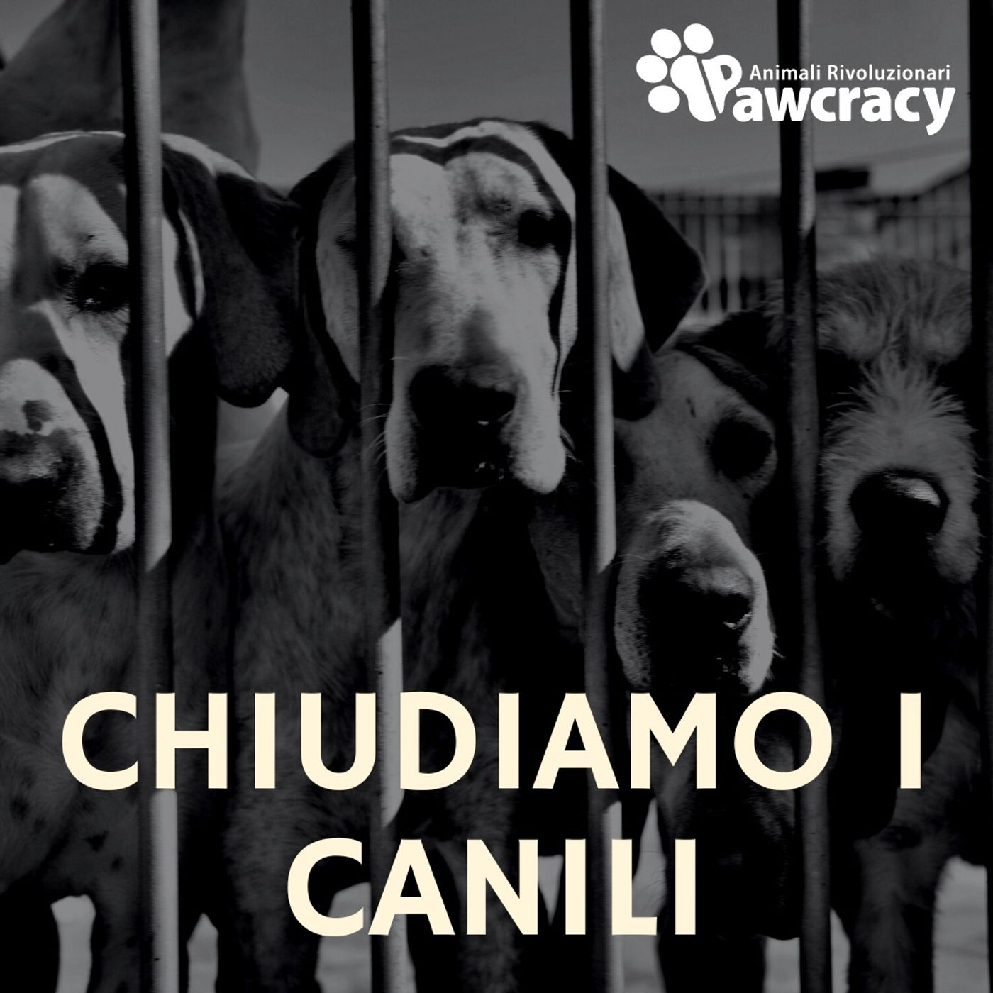 PAW 1x07: CHIUDIAMO I CANILI