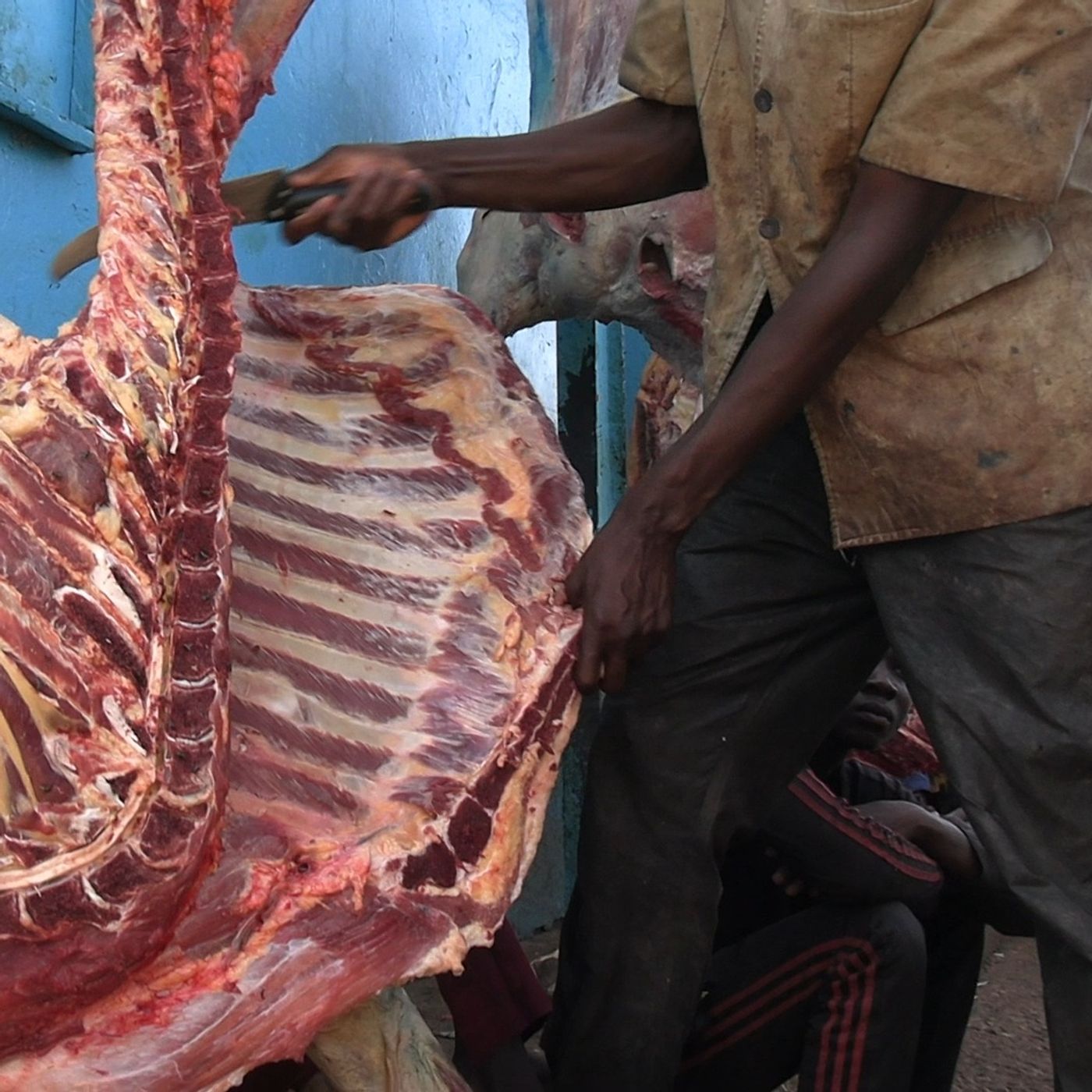 Studio Kalangou (français)