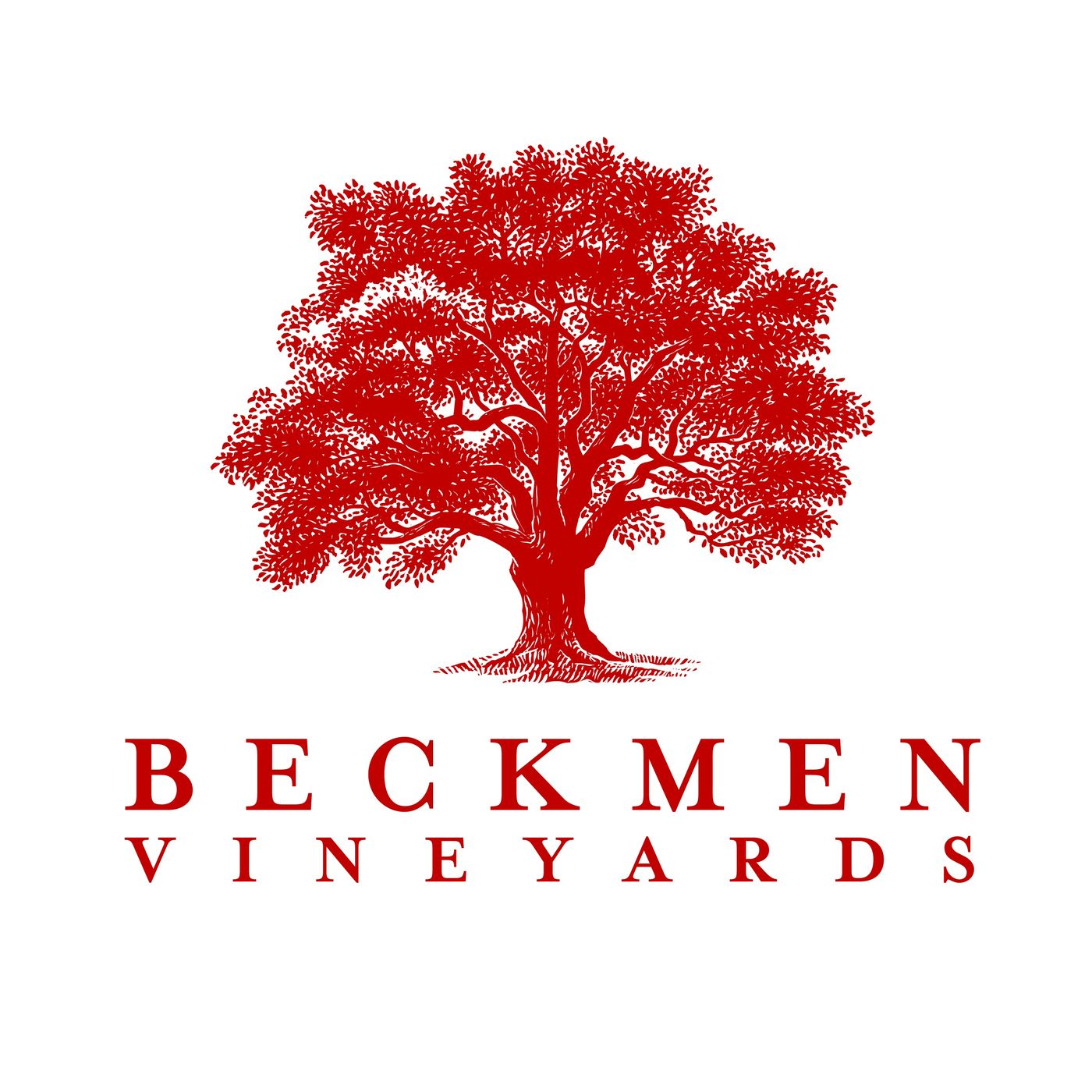 Beckmen Vineyards - Steve Beckmen