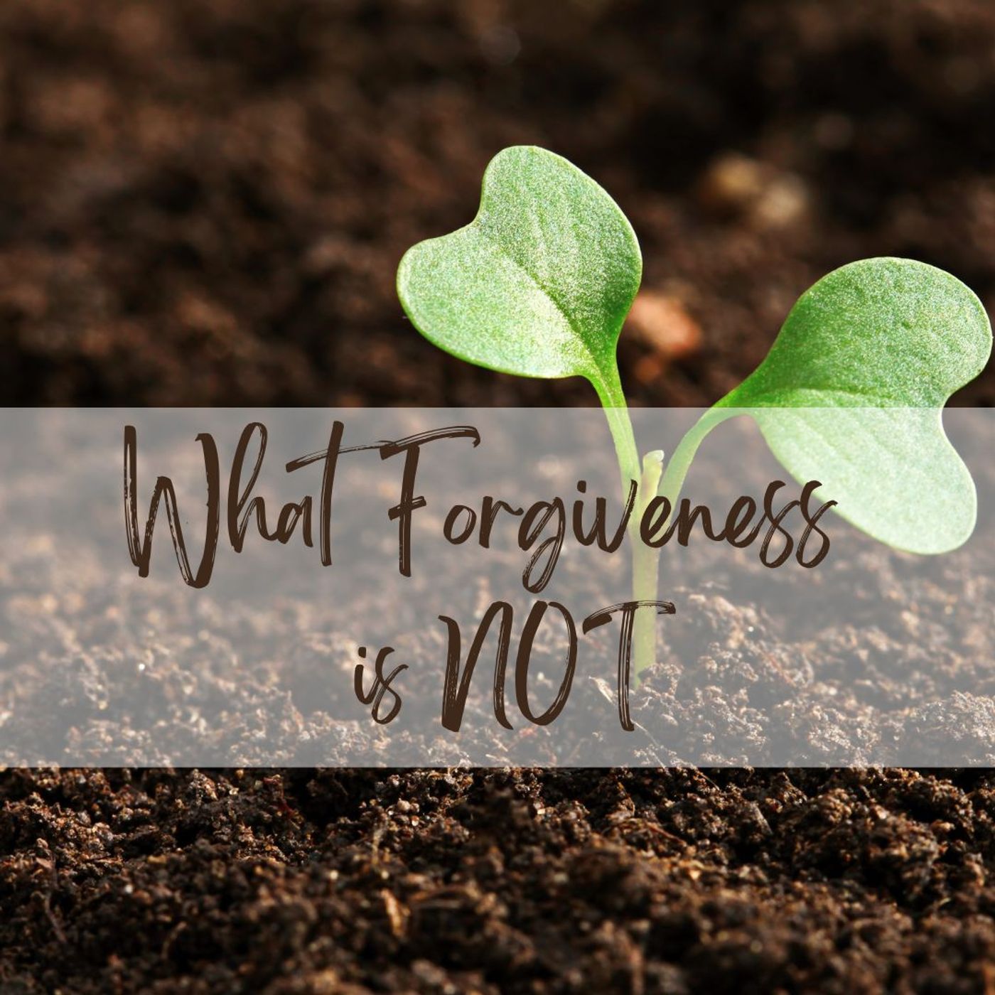 Forgiveness is NOT Revenge