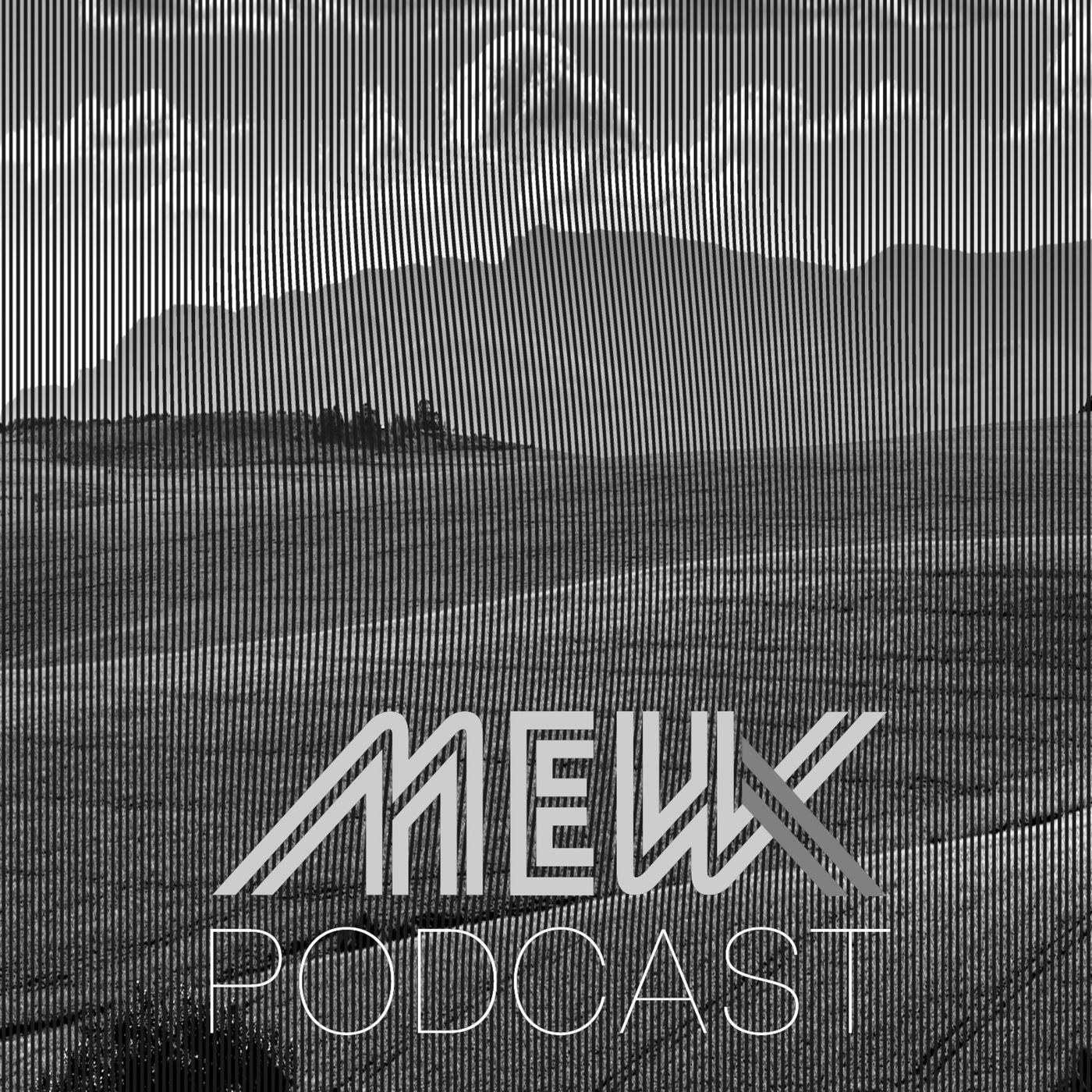 The MewX Podcast