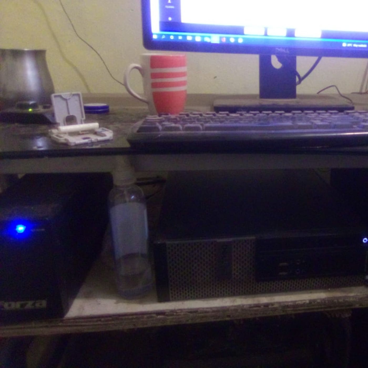 Bosque Digital Radio, La mejor Musica