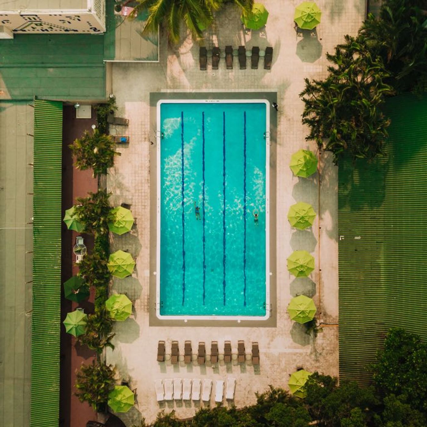 Comercio Electrónico's show