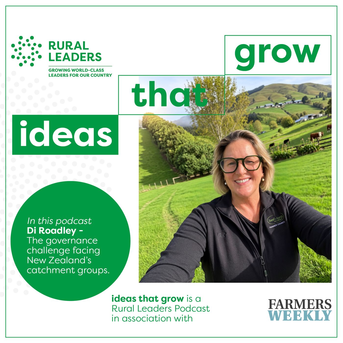The governance challenge facing NZ’s catchment groups