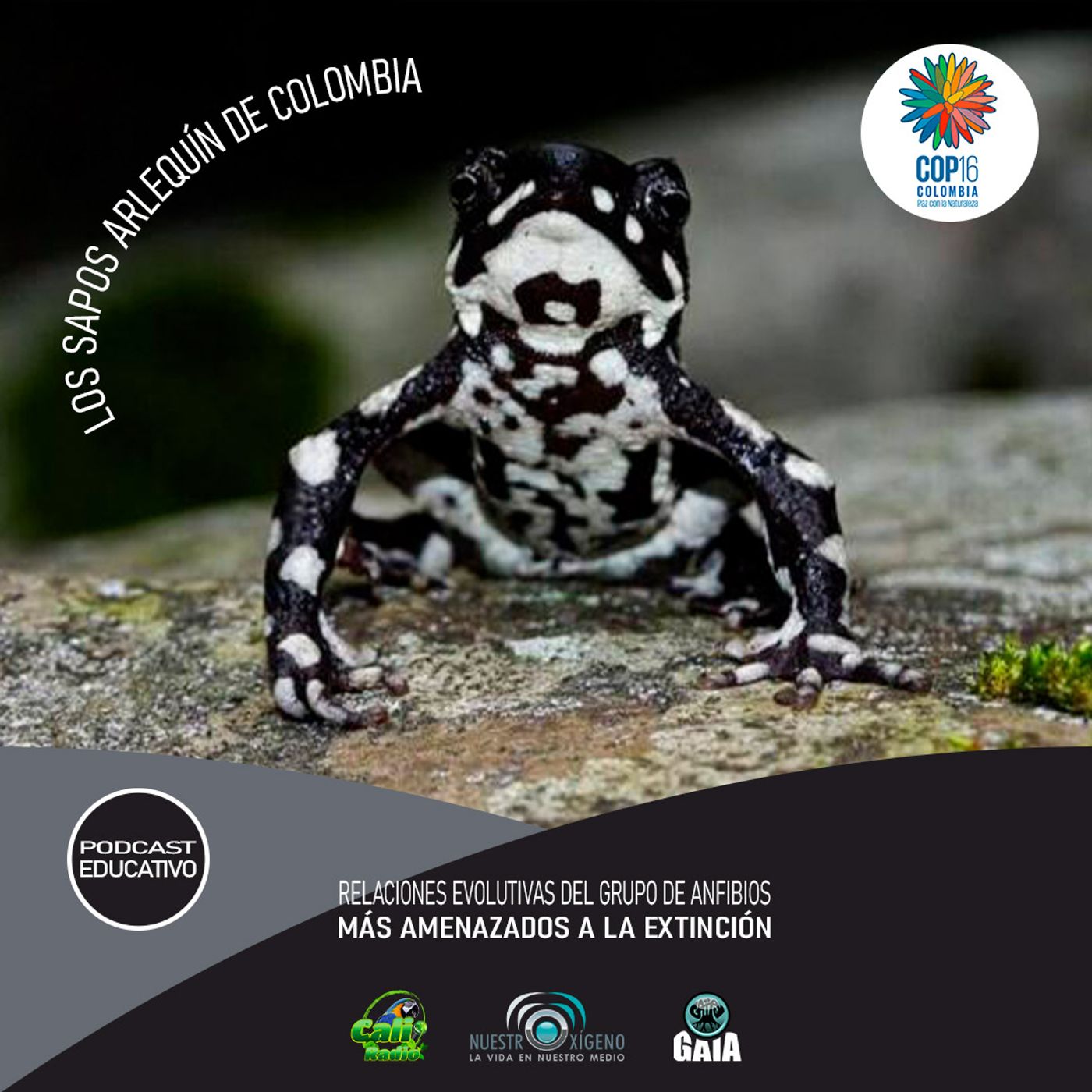 2024 Nuestro Oxigeno 10- Octubre
