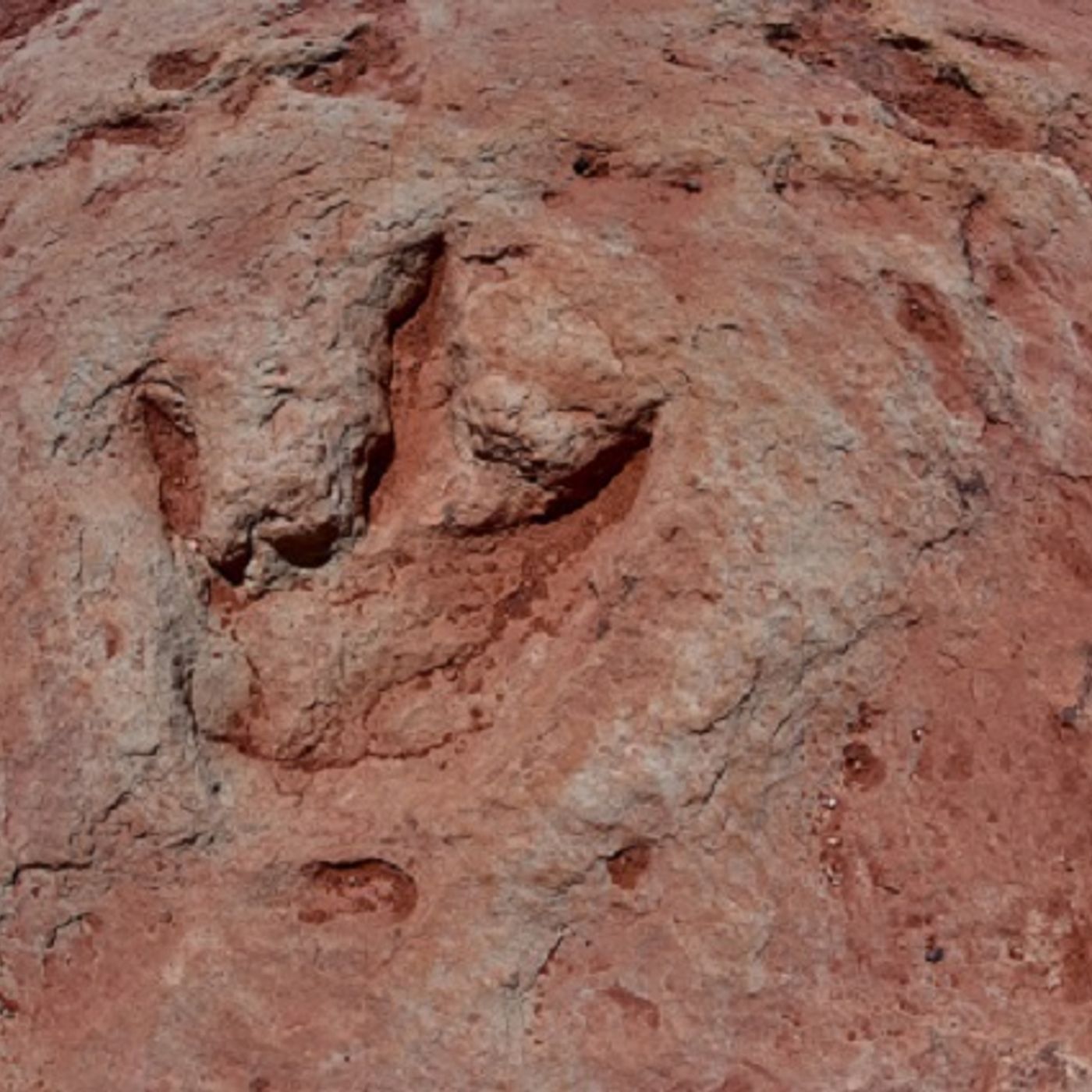 Amazing footprints-young girl and mother discover during a walk episode artwork