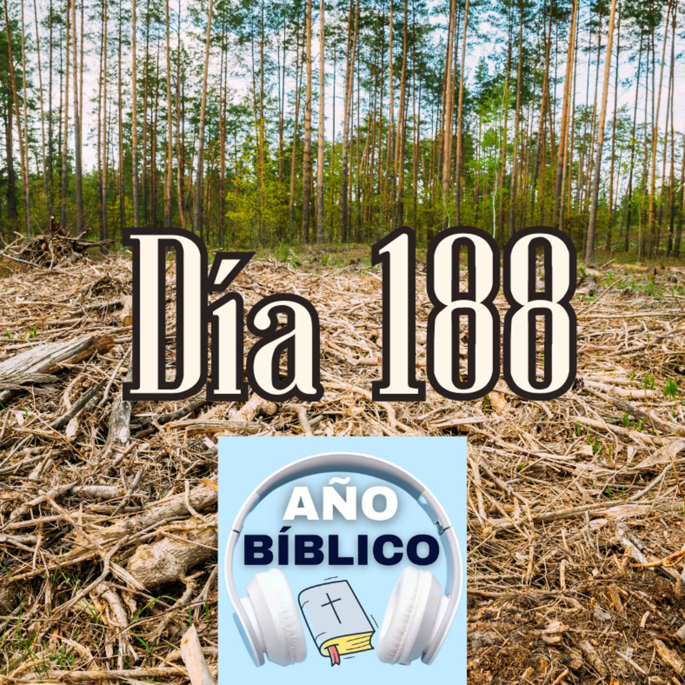 Día 188 - Salmos 78:56-64, 2 Crónicas 2-4 y Romanos 8:1-8 episode artwork