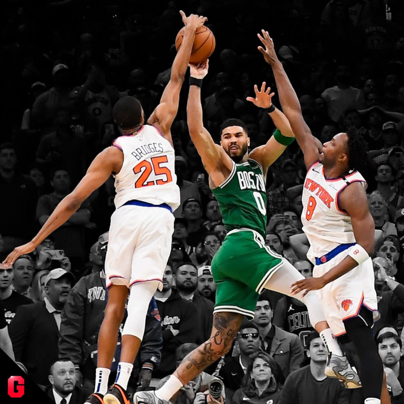 Gigantes Daily, baloncesto al día