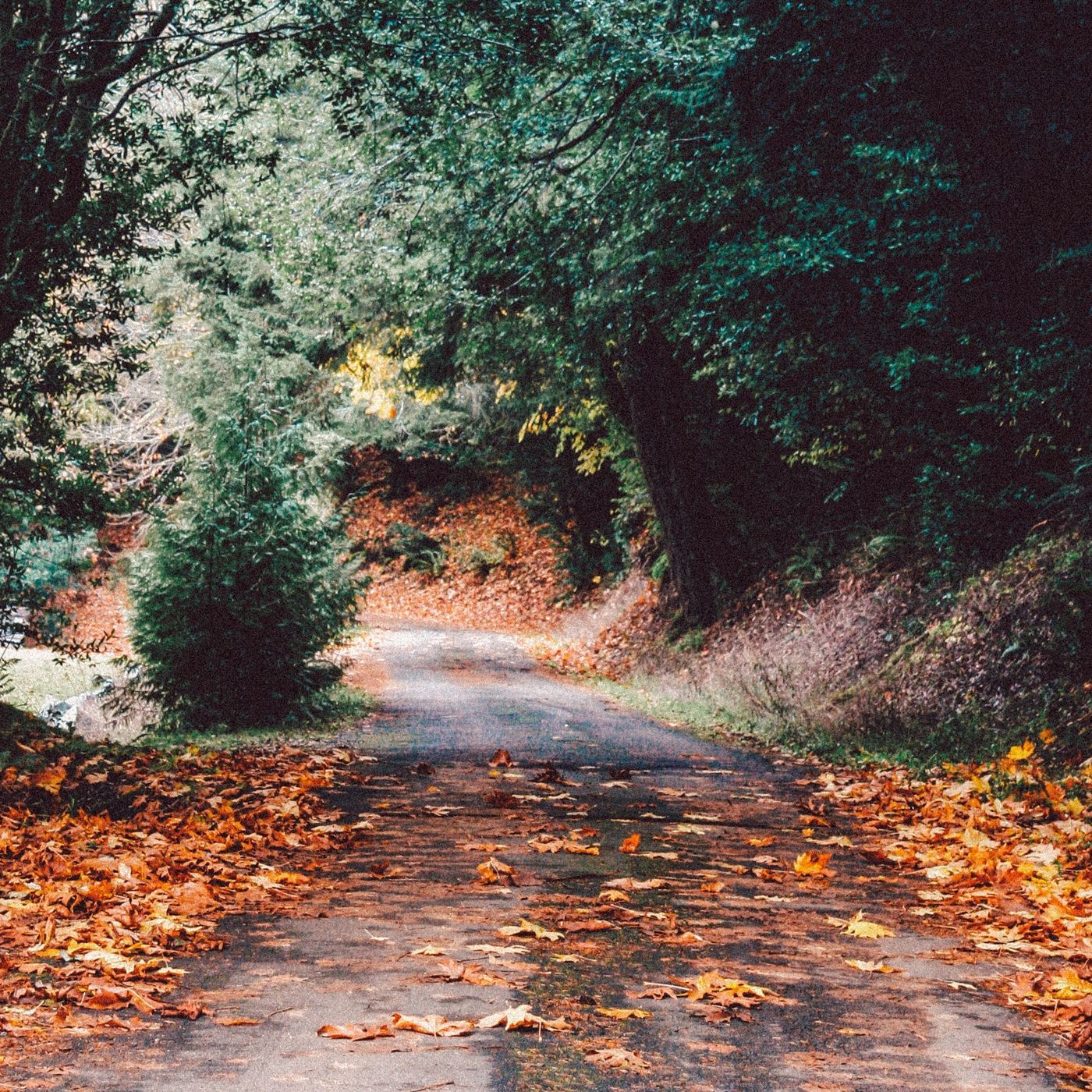 为什么要练习冥想
