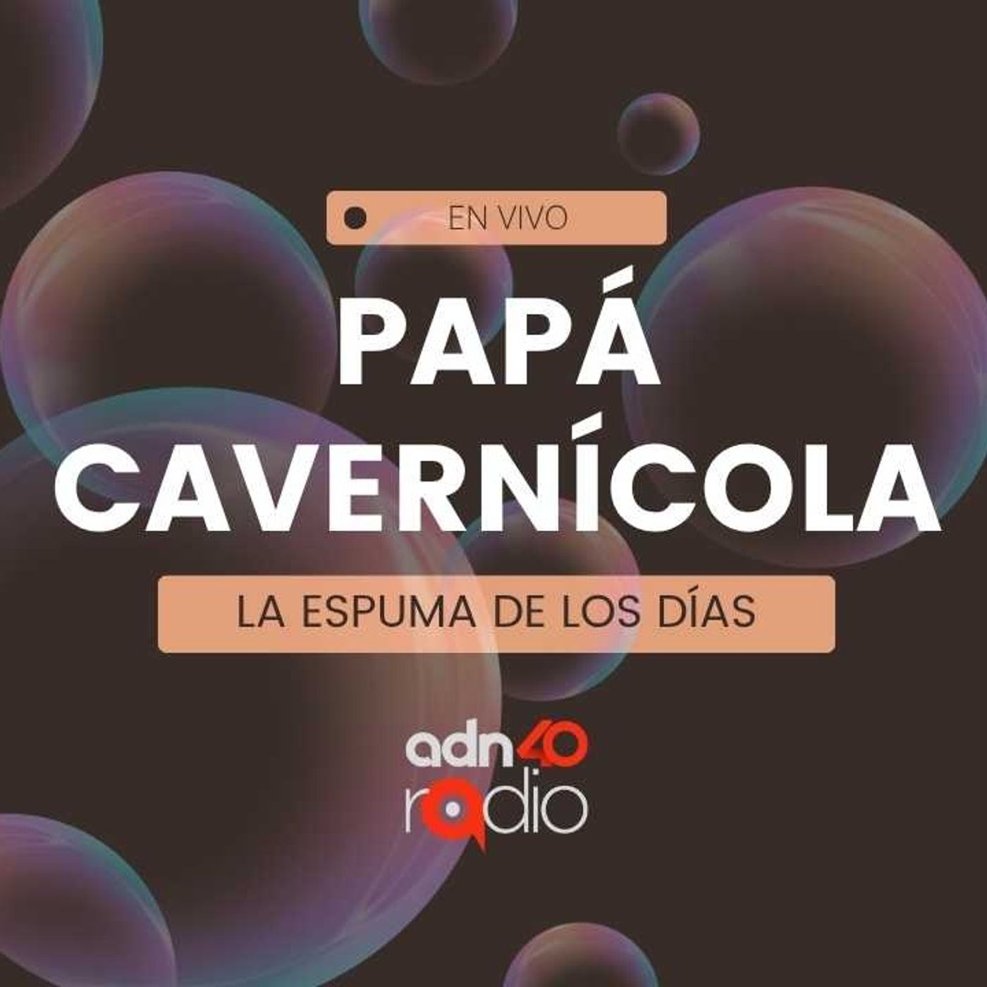 La espuma de los días