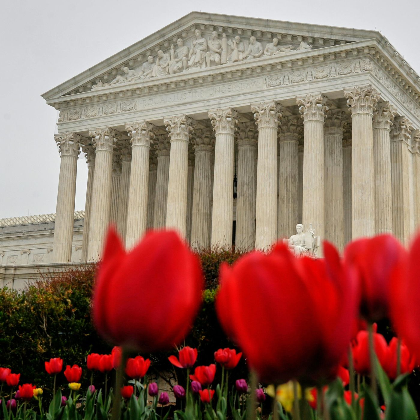 A National "Reset": How The Supreme Court Just Shook Up The Midterms episode artwork