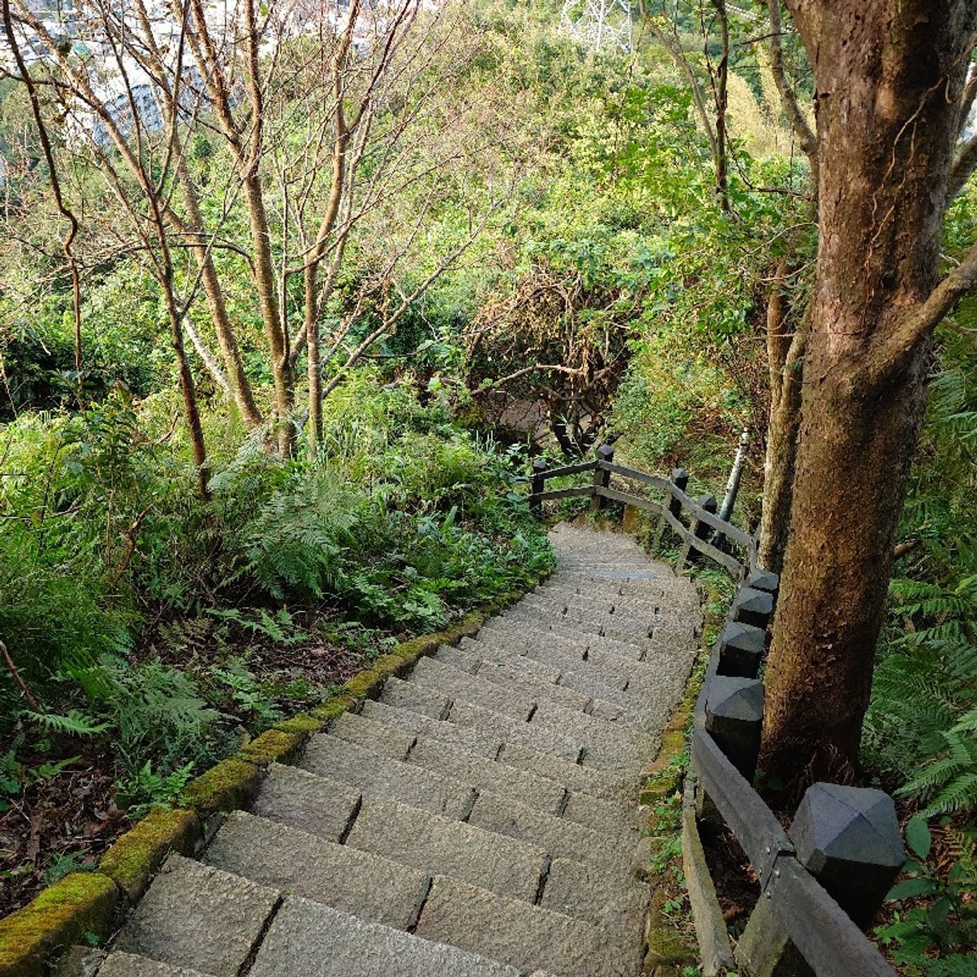 Ep258 - Diane's Tarot Diary: 我的塔羅日記 閒聊•塔羅“準不準?!(上)