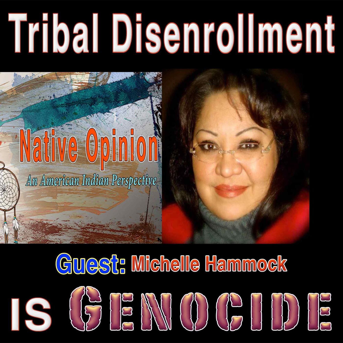 Native Opinion an American Indian Perspective