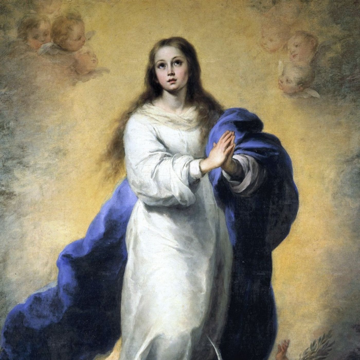 8 Diciembre Inmaculada Concepción de María episode artwork