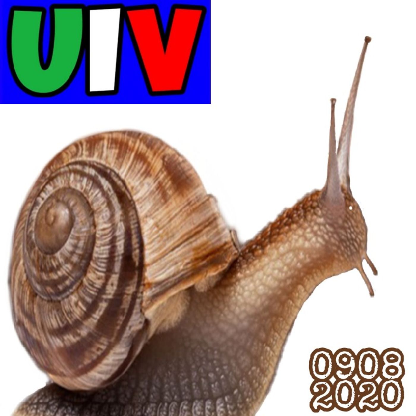 Episodio 104 - Fra poco mi metto in viaggio. In quale Paese si guida bene? episode artwork