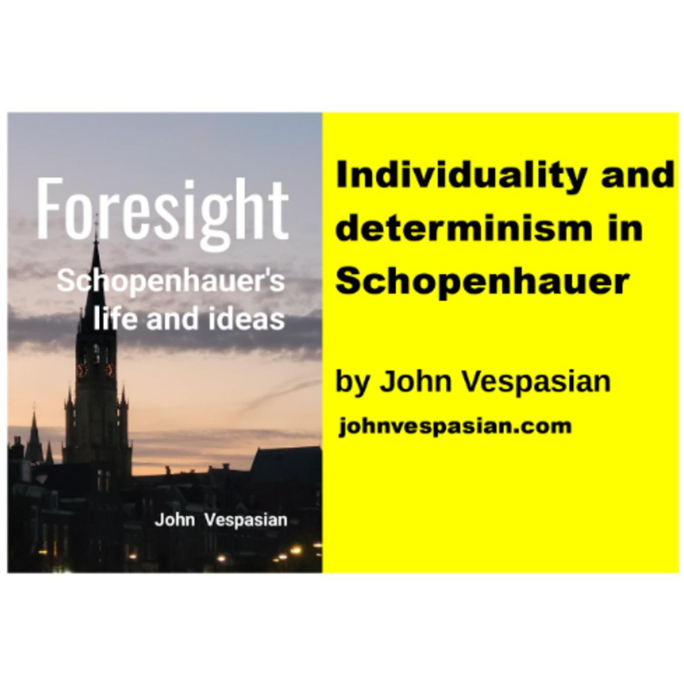 Individuality and determinism in Schopenhauer episode artwork