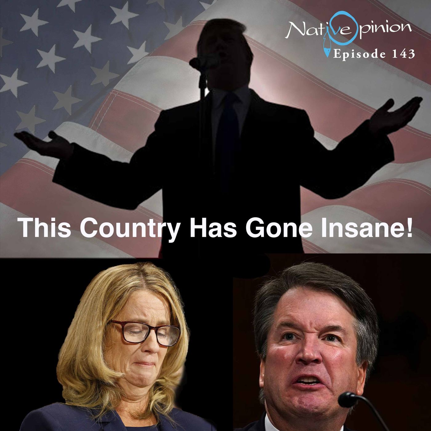 THIS NATION HAS GONE INSANE - podcast episode cover