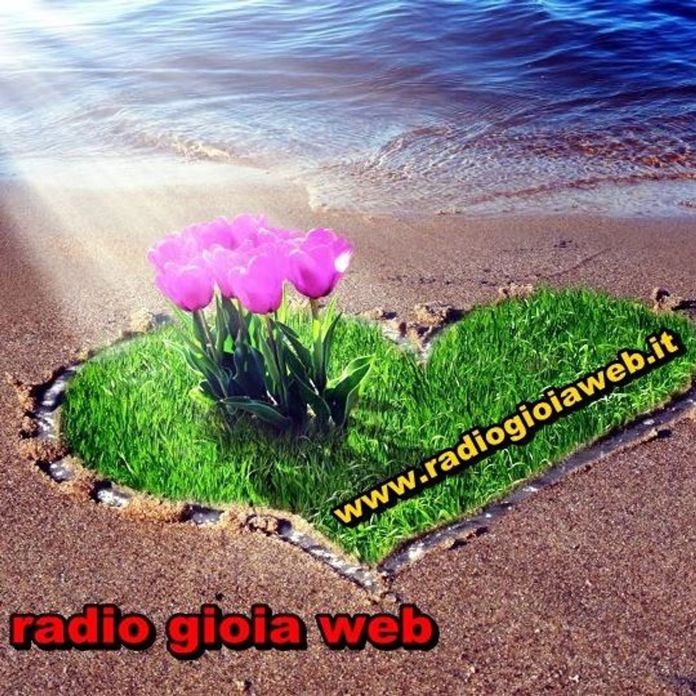 RADIO GIOIA WEB