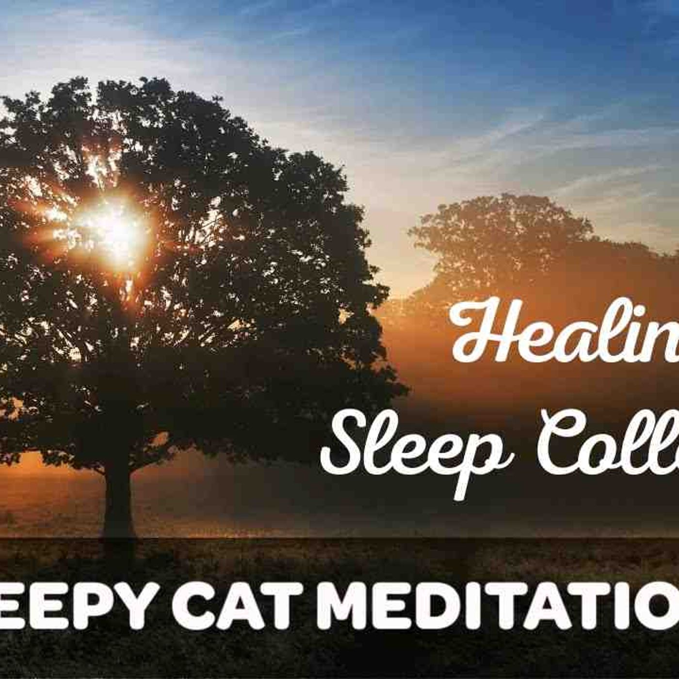 The Healing Sleep Collection (Muscle Relaxation_ Sleep Meditation for Anxiety _ Guided Sleep Story) episode artwork