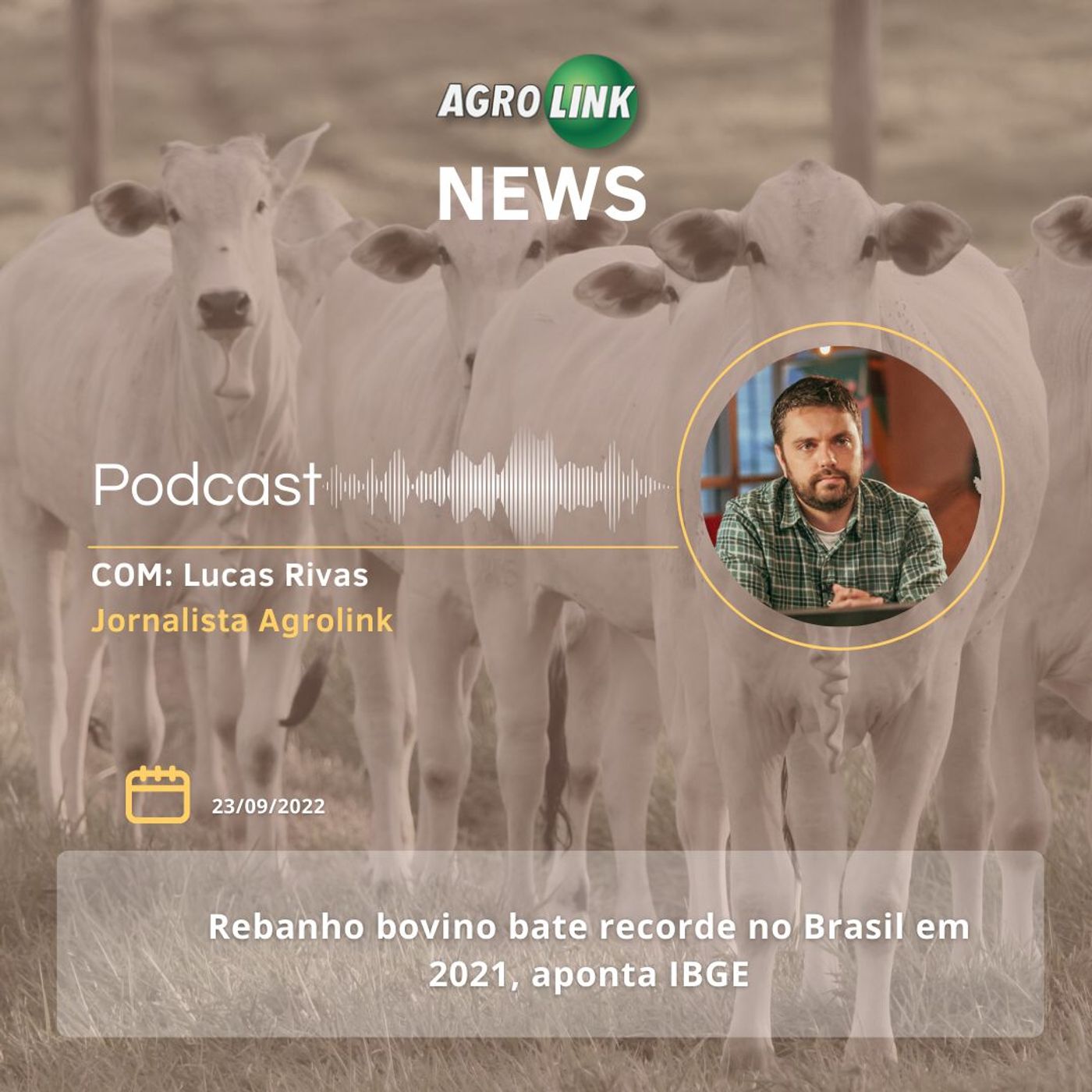 Cepea aponta queda de 1,7% no PIB do agronegócio episode artwork