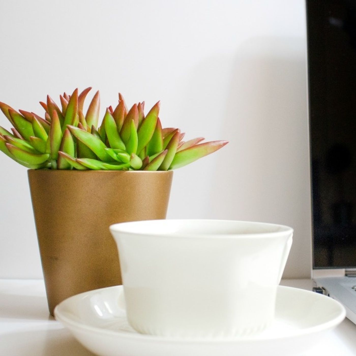 Emprender desde Casa Online