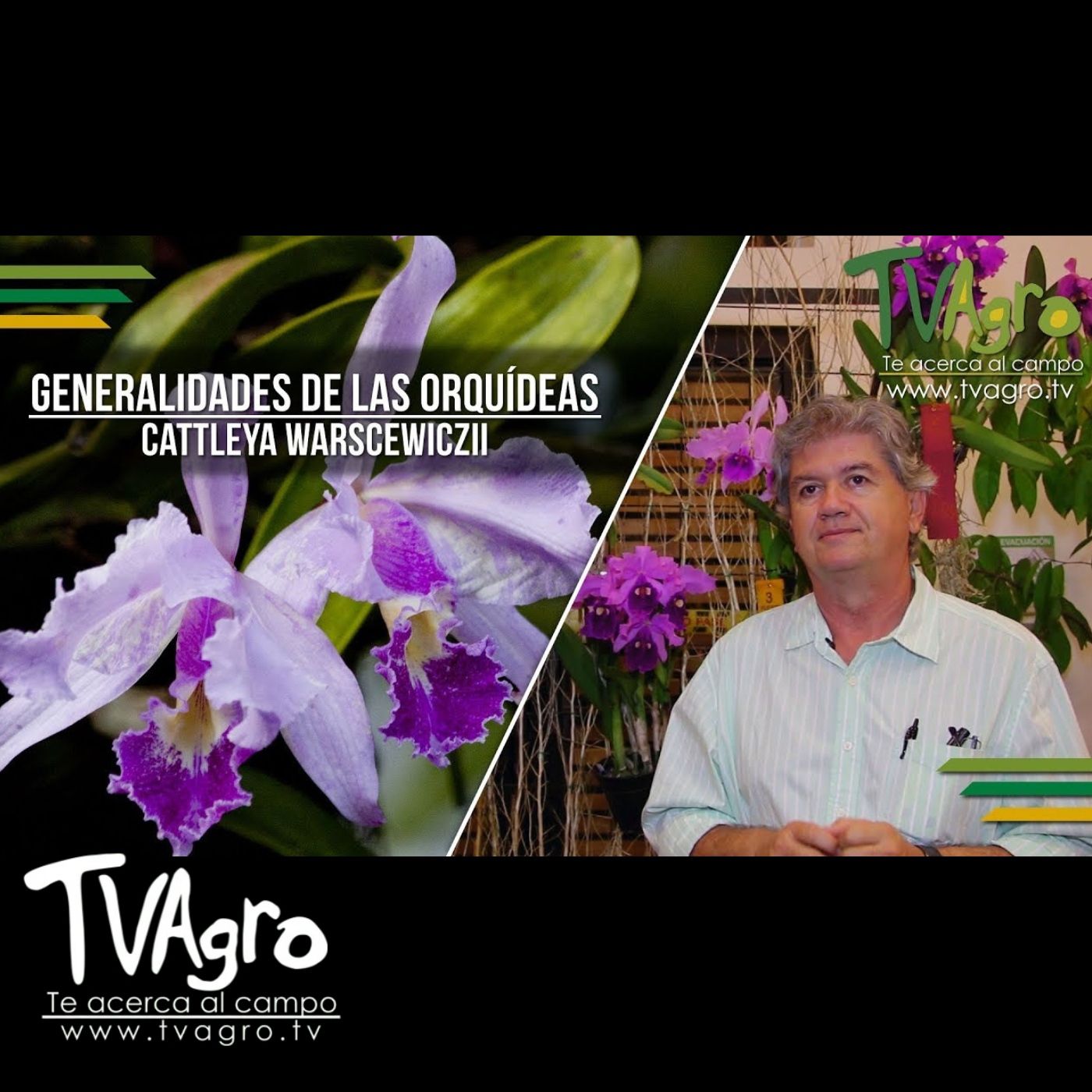 TV AGRO