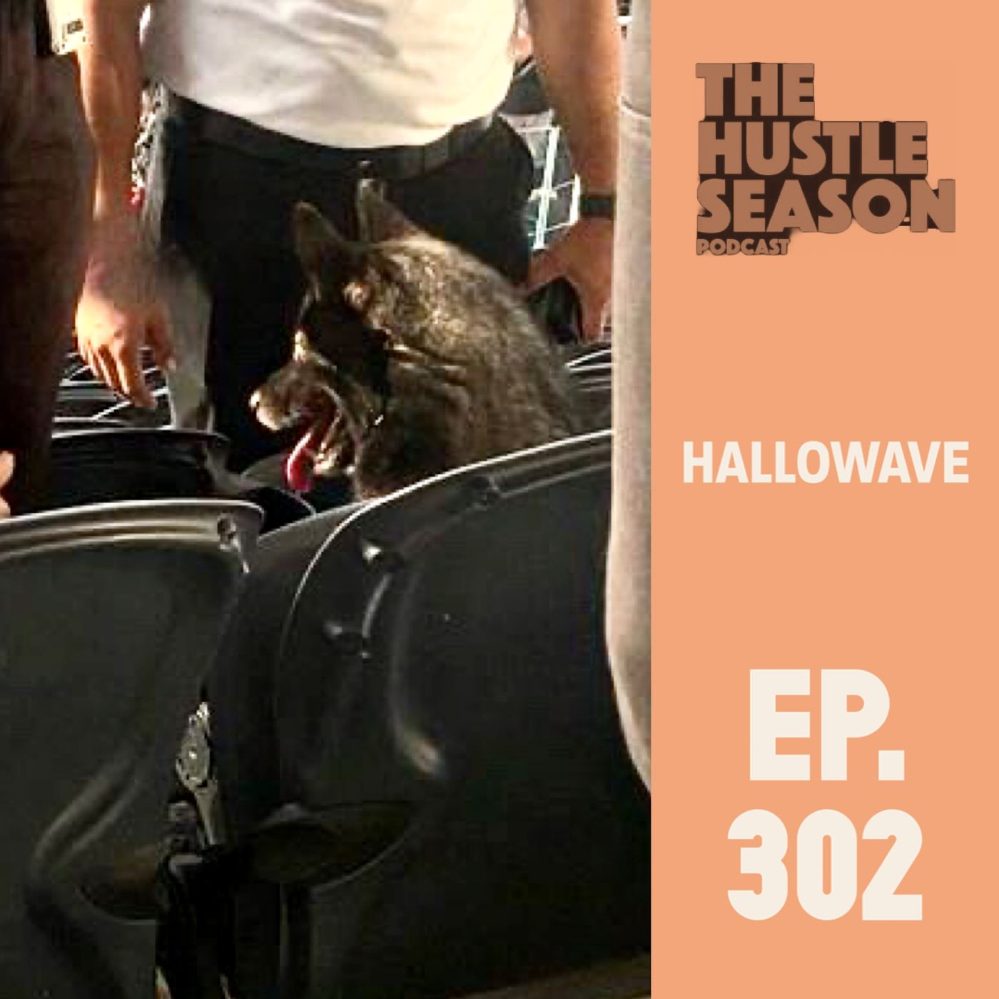 The Hustle Season Podcast