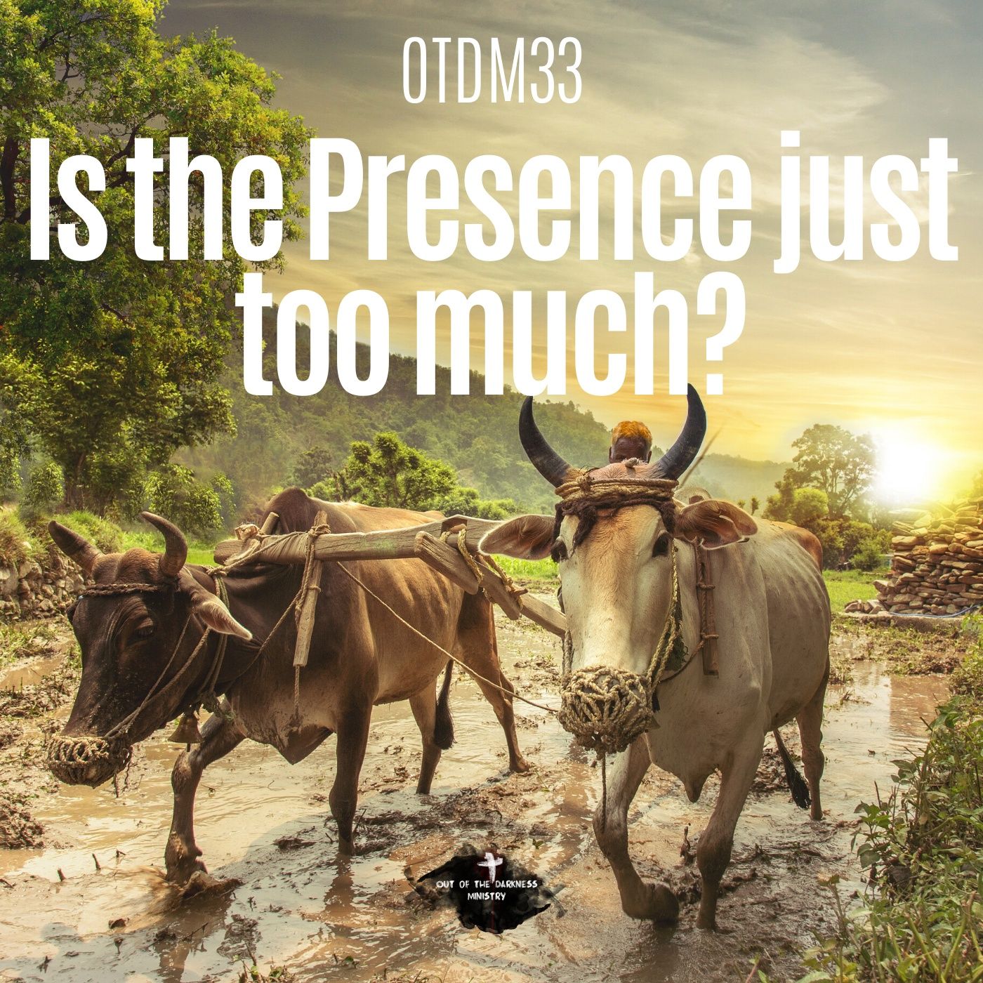 Out of the Darkness Ministry