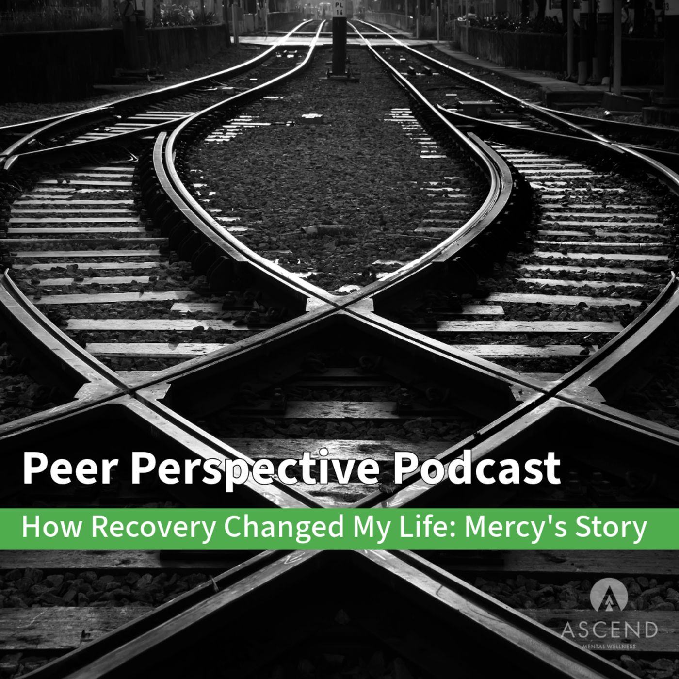 Peer Perspective