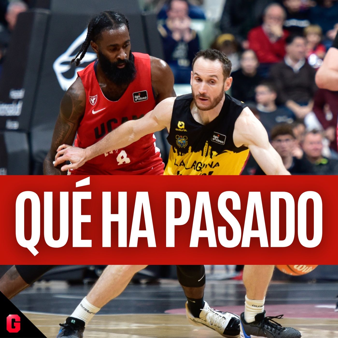 Gigantes Daily, baloncesto al día