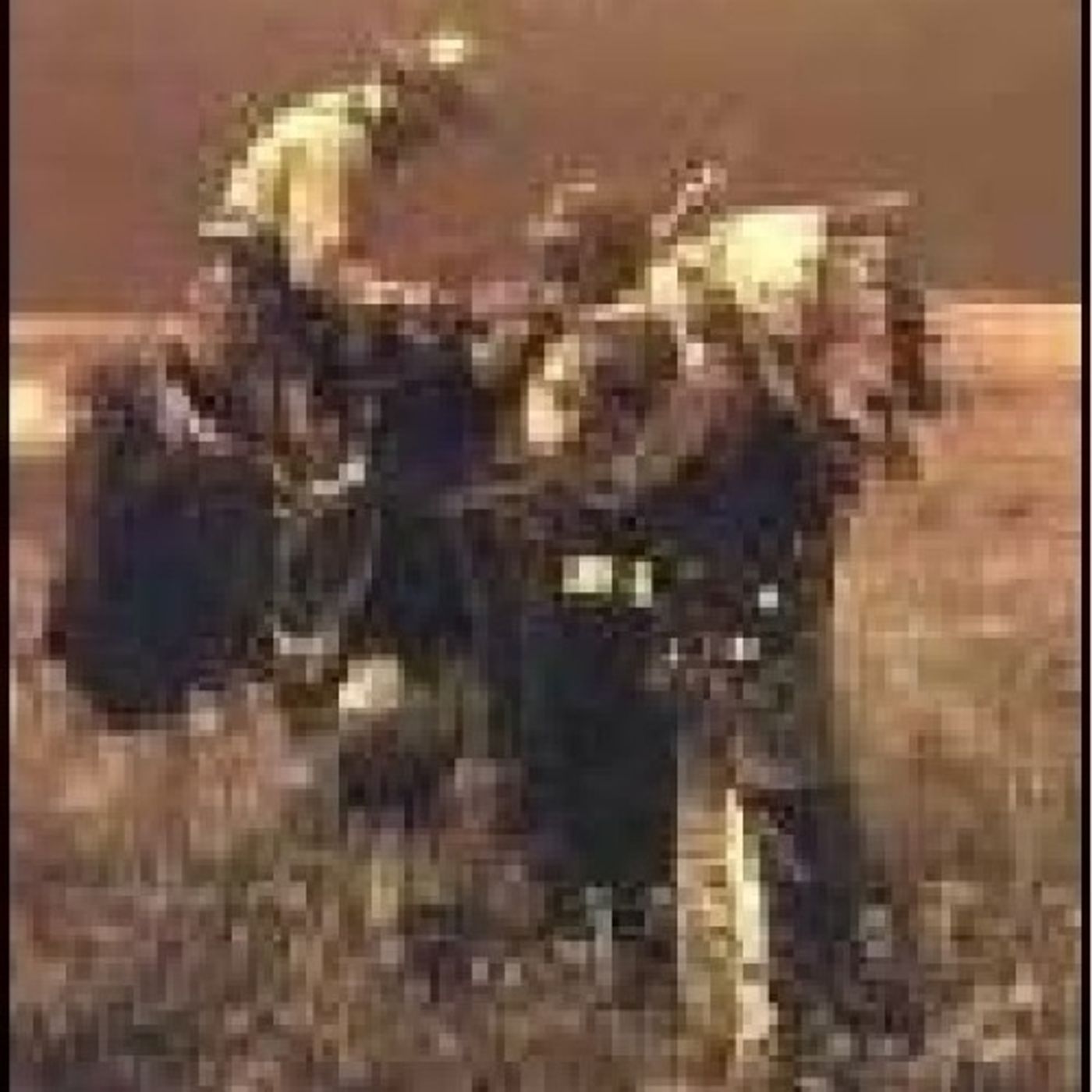 Los ultimos dias de Caballo Loco - Dan O'Brien