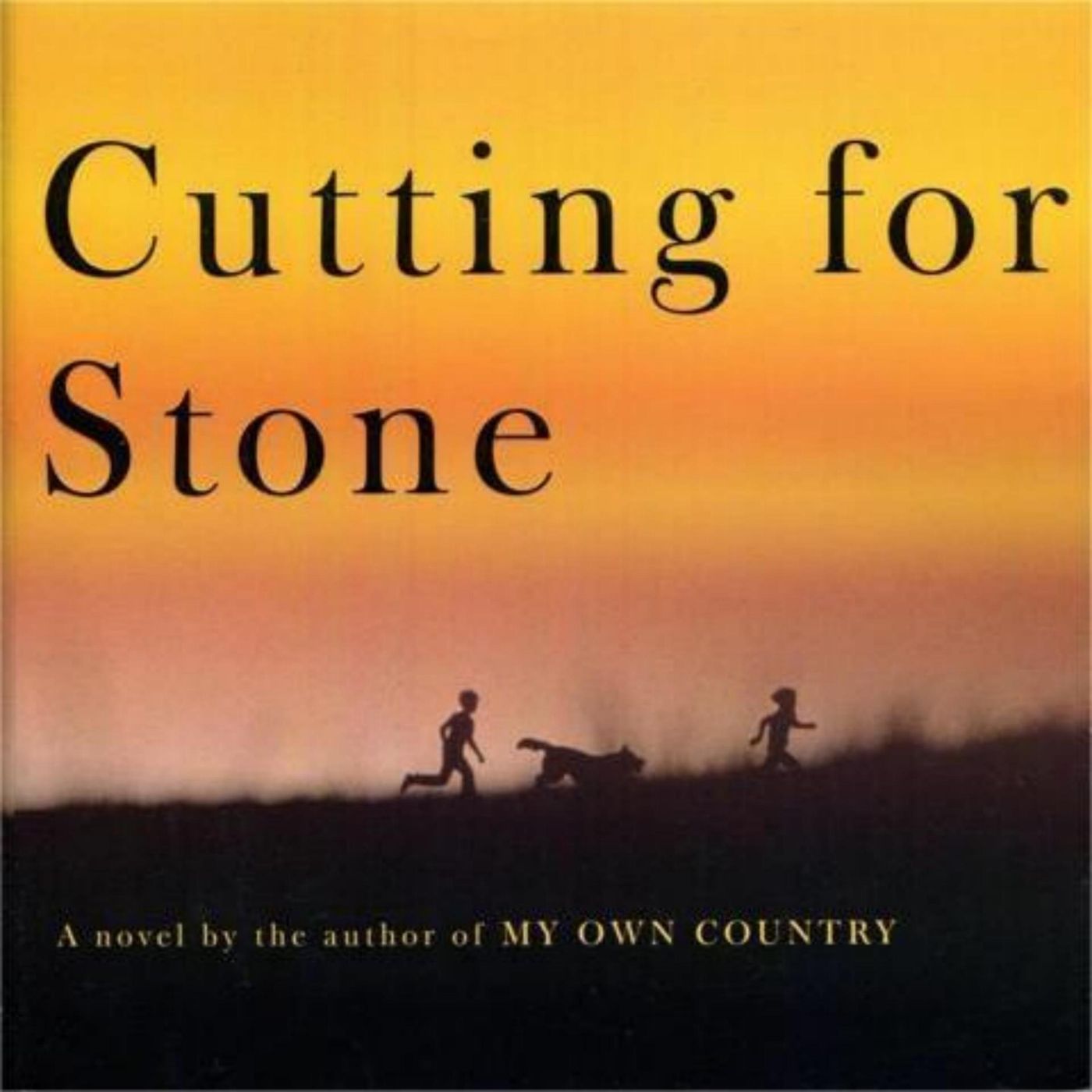 Surgically Precise: Exploring Life and Healing in Cutting For Stone