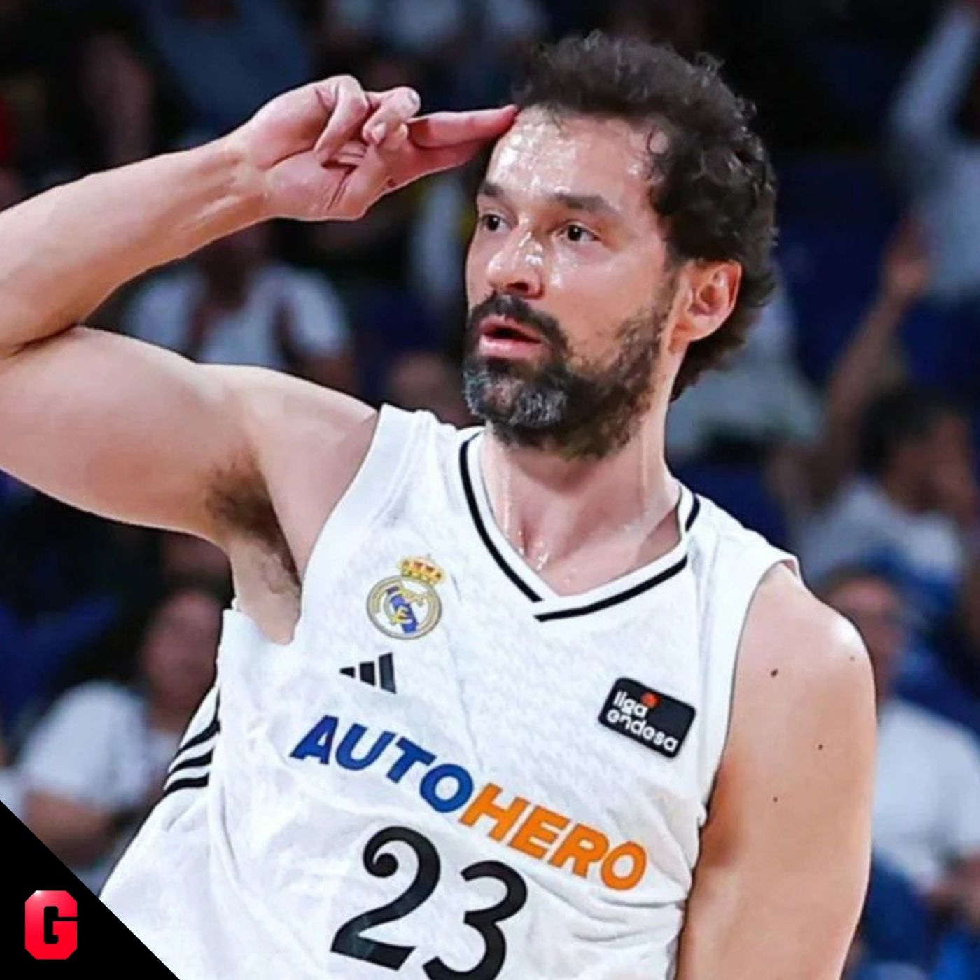 La previa de los Playoffs de la Liga Endesa #239 episode artwork