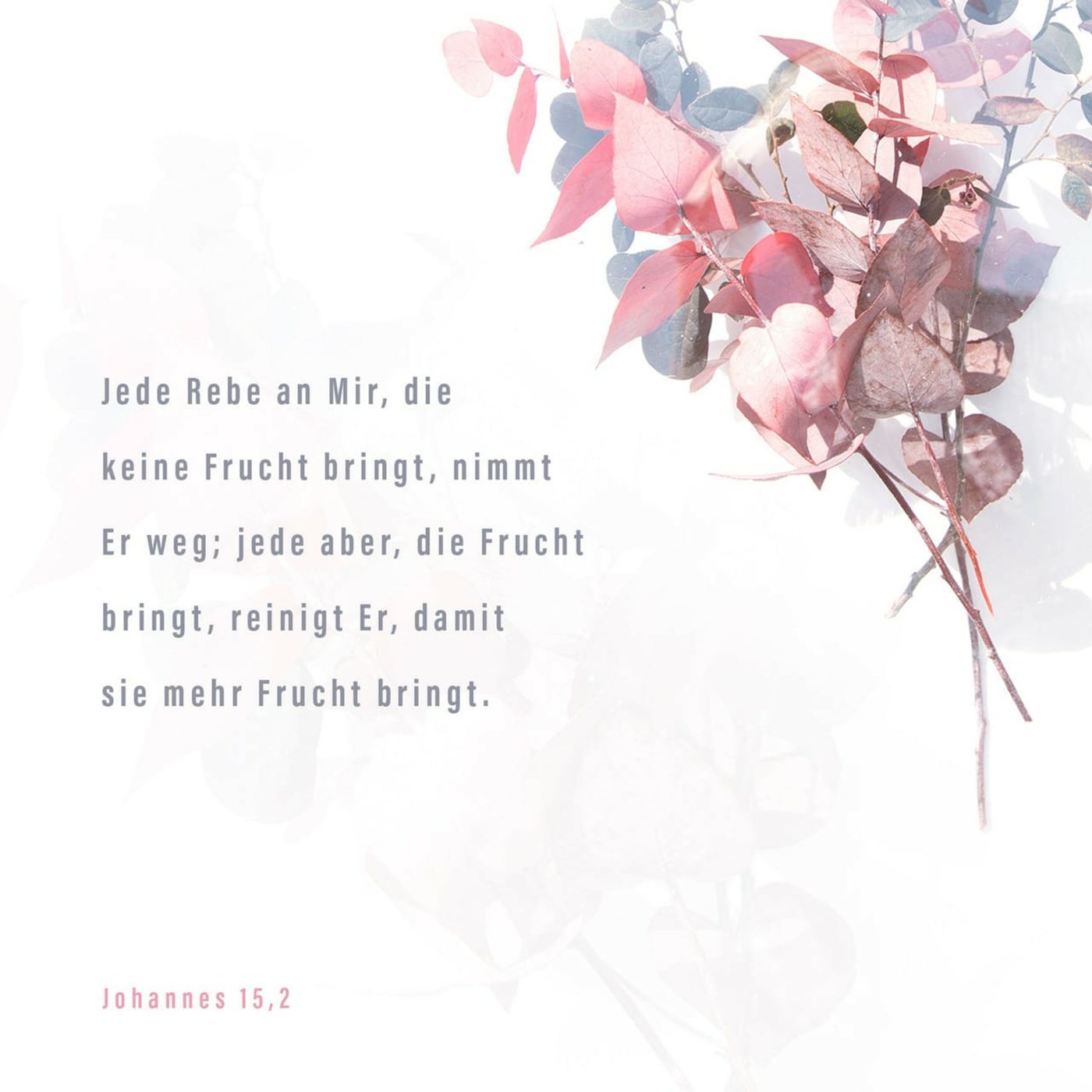 Mut zum Leben mit Jesus
